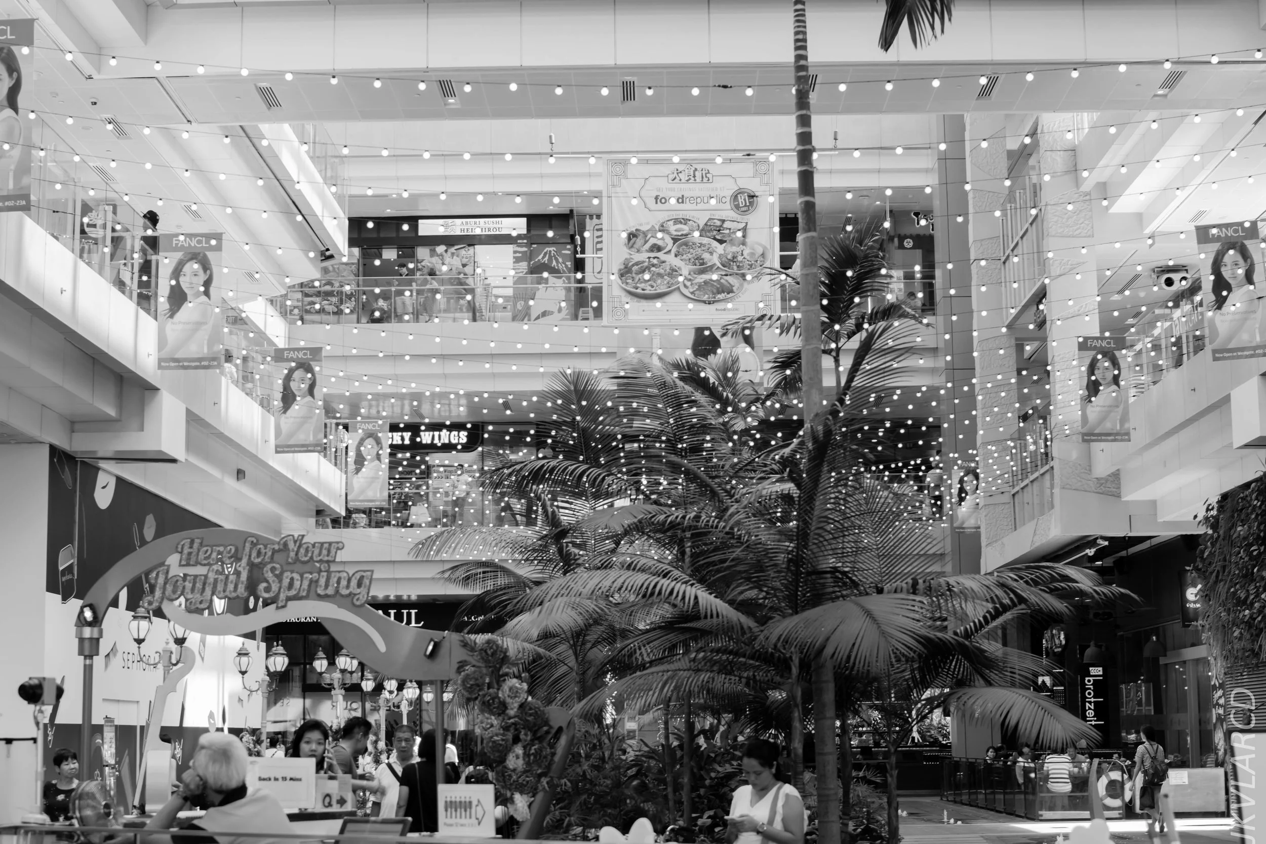 EOS 7D Mark II_2018_01_21_4210.jpg