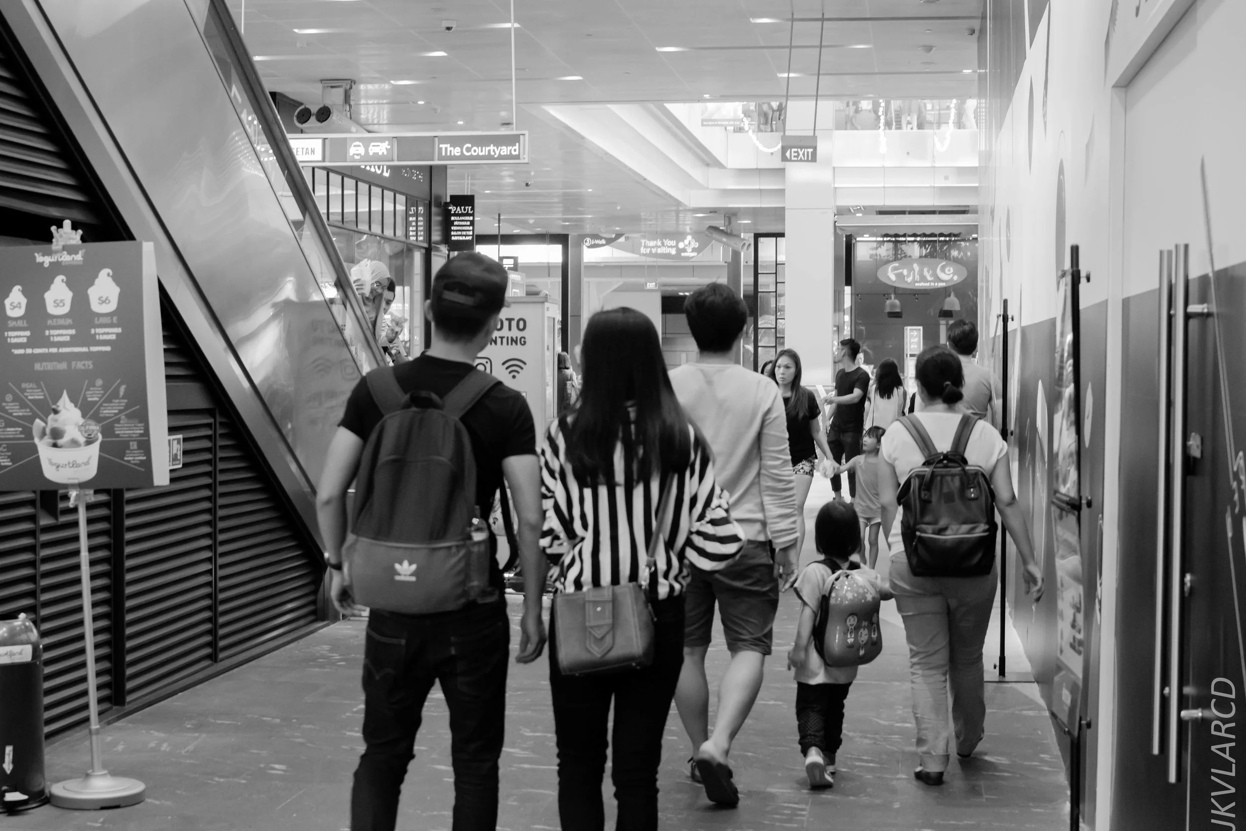 EOS 7D Mark II_2018_01_21_4216.jpg