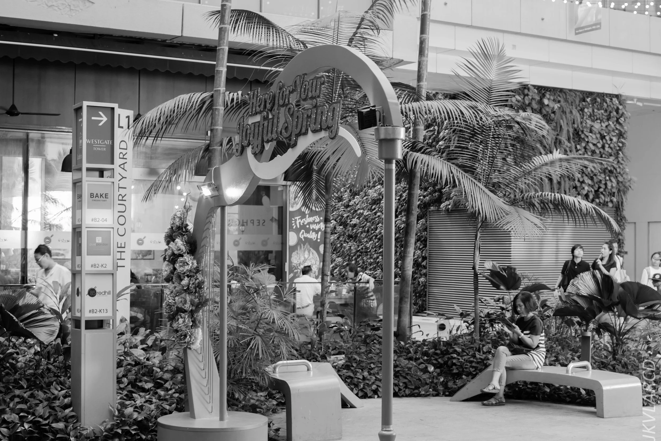 EOS 7D Mark II_2018_01_21_4217.jpg