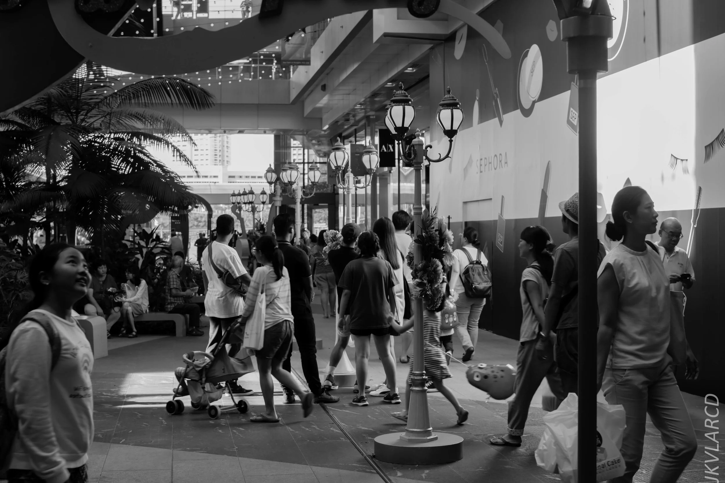 EOS 7D Mark II_2018_01_21_4218.jpg