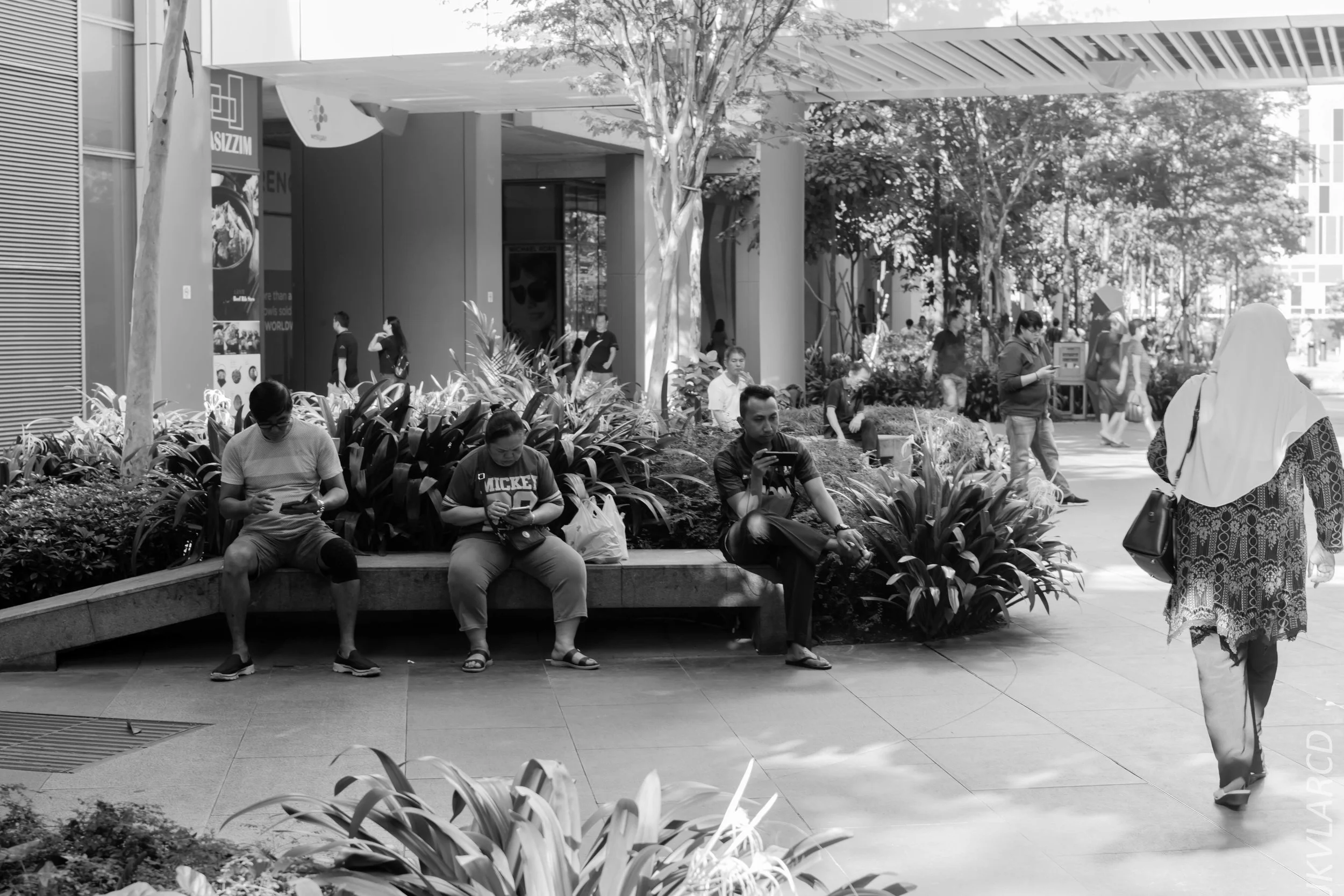 EOS 7D Mark II_2018_01_21_4220.jpg