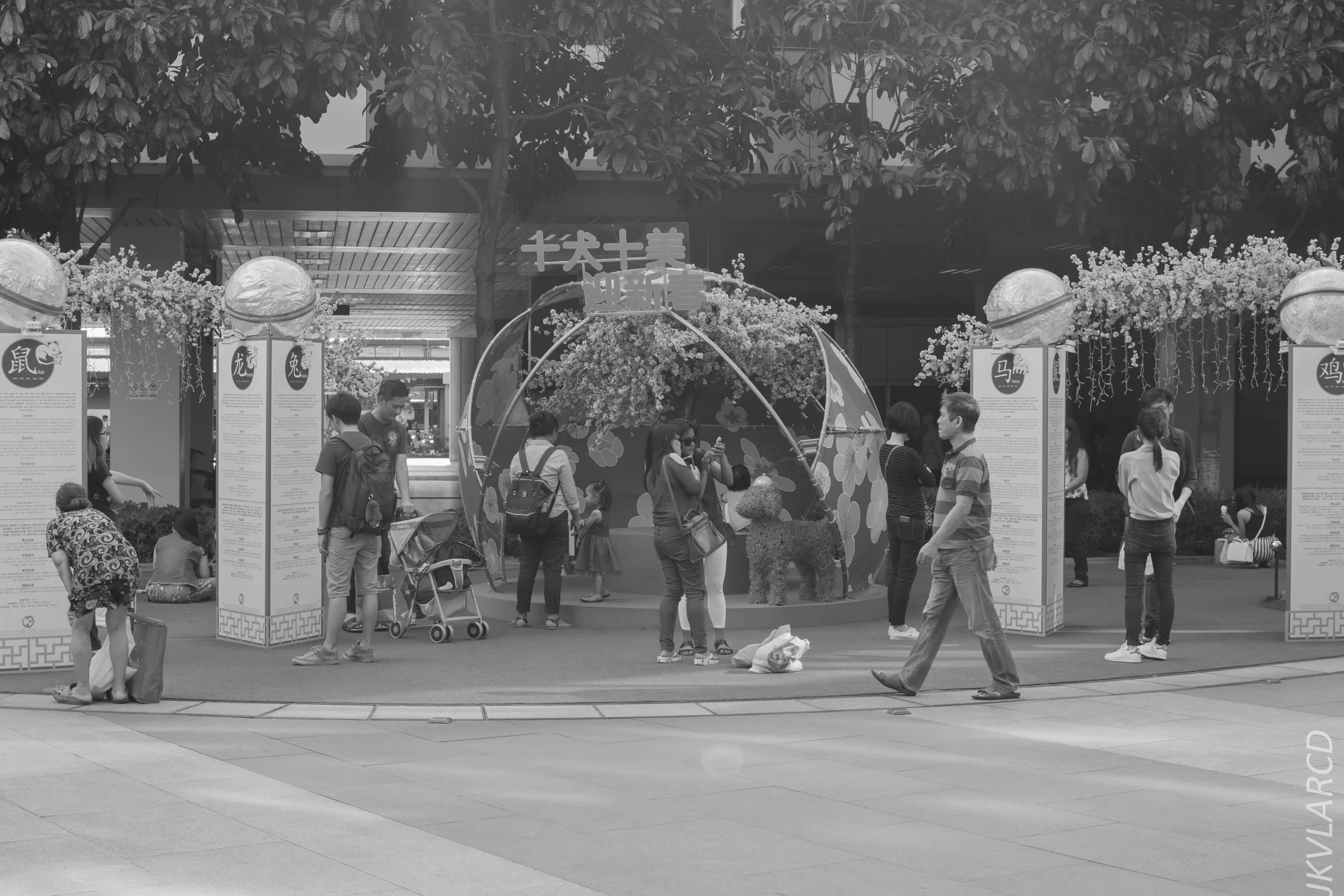 EOS 7D Mark II_2018_01_21_4222.jpg