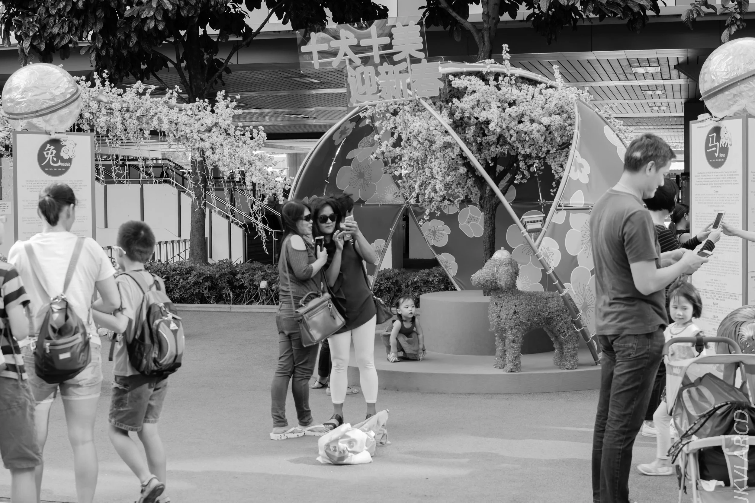 EOS 7D Mark II_2018_01_21_4223.jpg