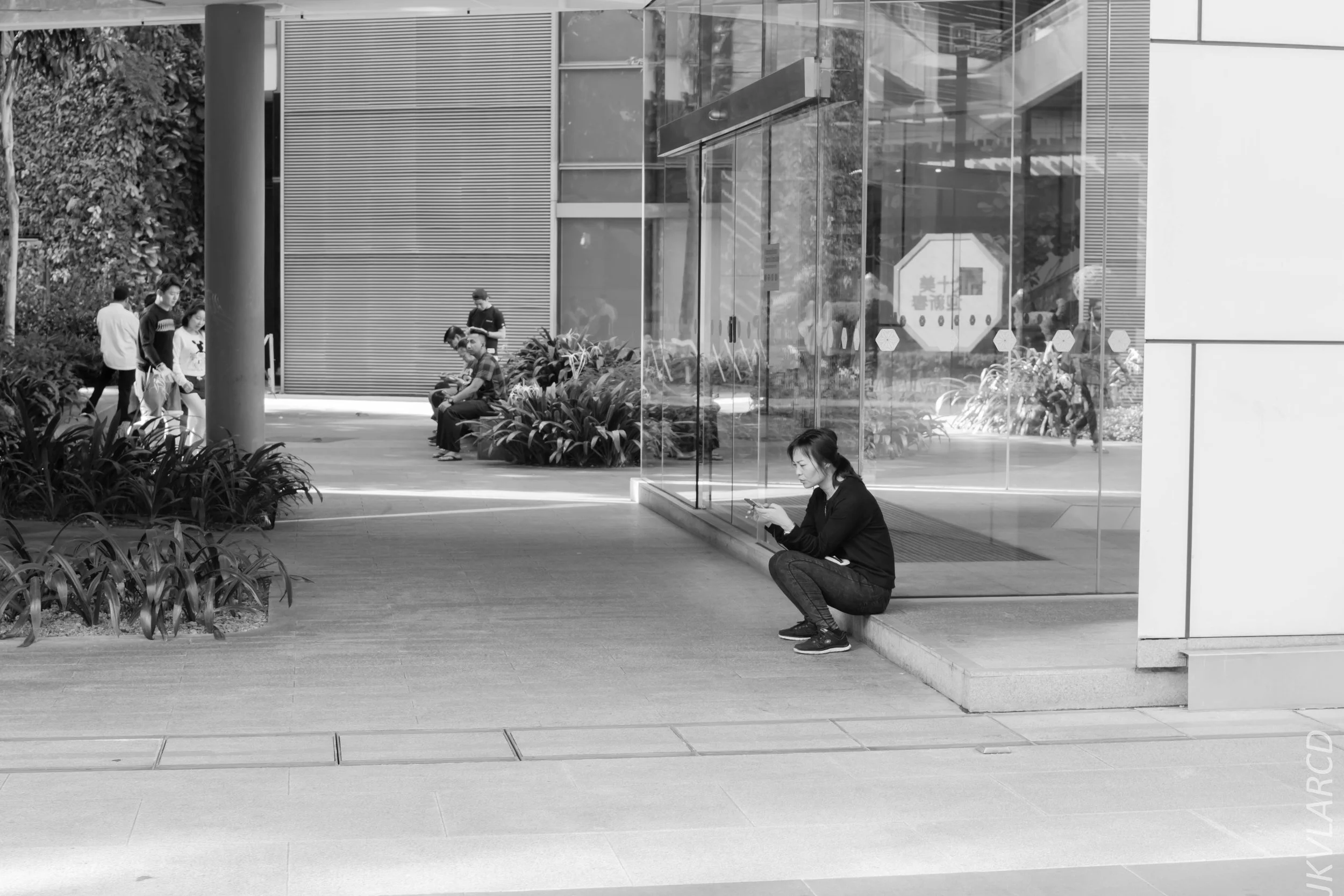 EOS 7D Mark II_2018_01_21_4225.jpg