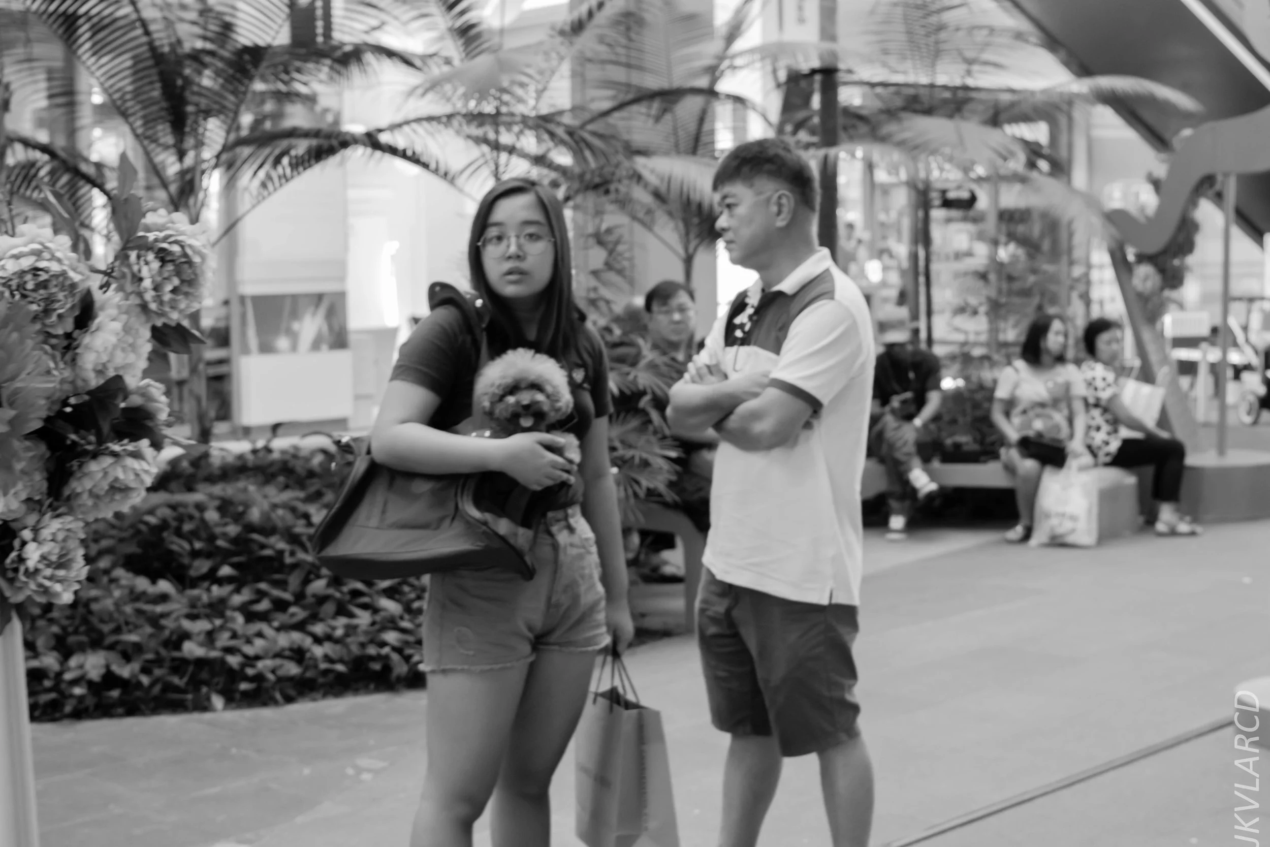 EOS 7D Mark II_2018_01_21_4228.jpg