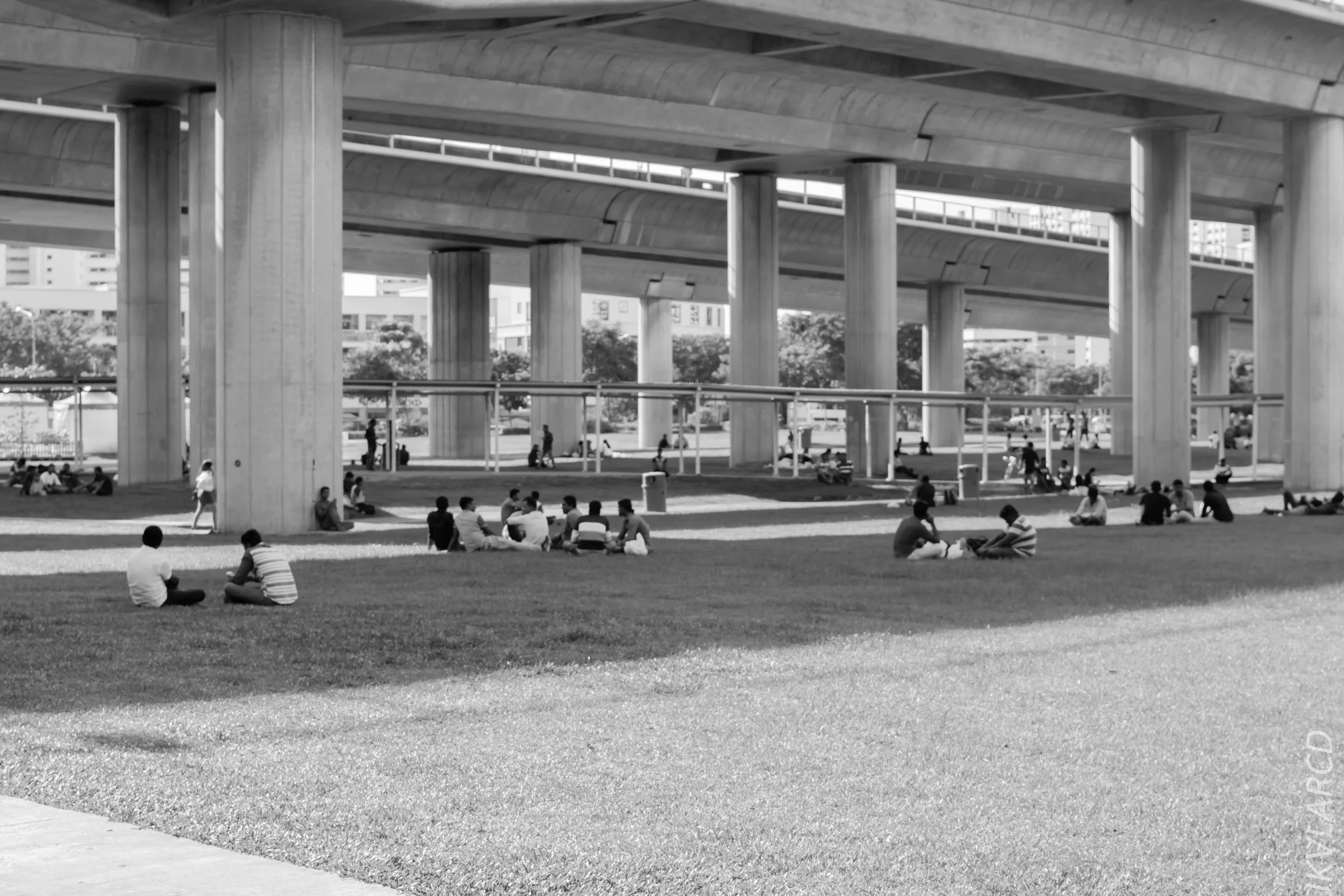 EOS 7D Mark II_2018_01_21_4231.jpg