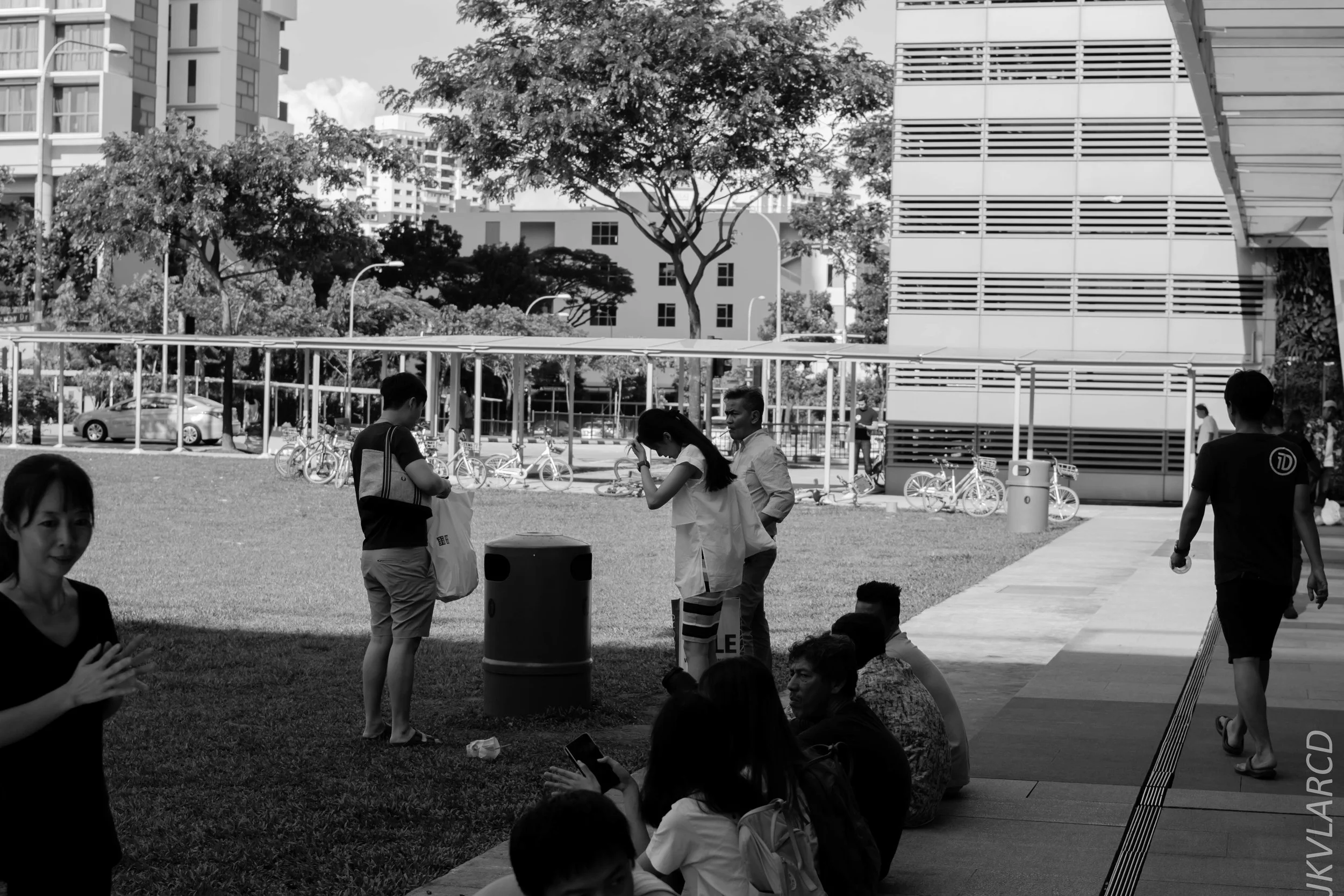 EOS 7D Mark II_2018_01_21_4232.jpg