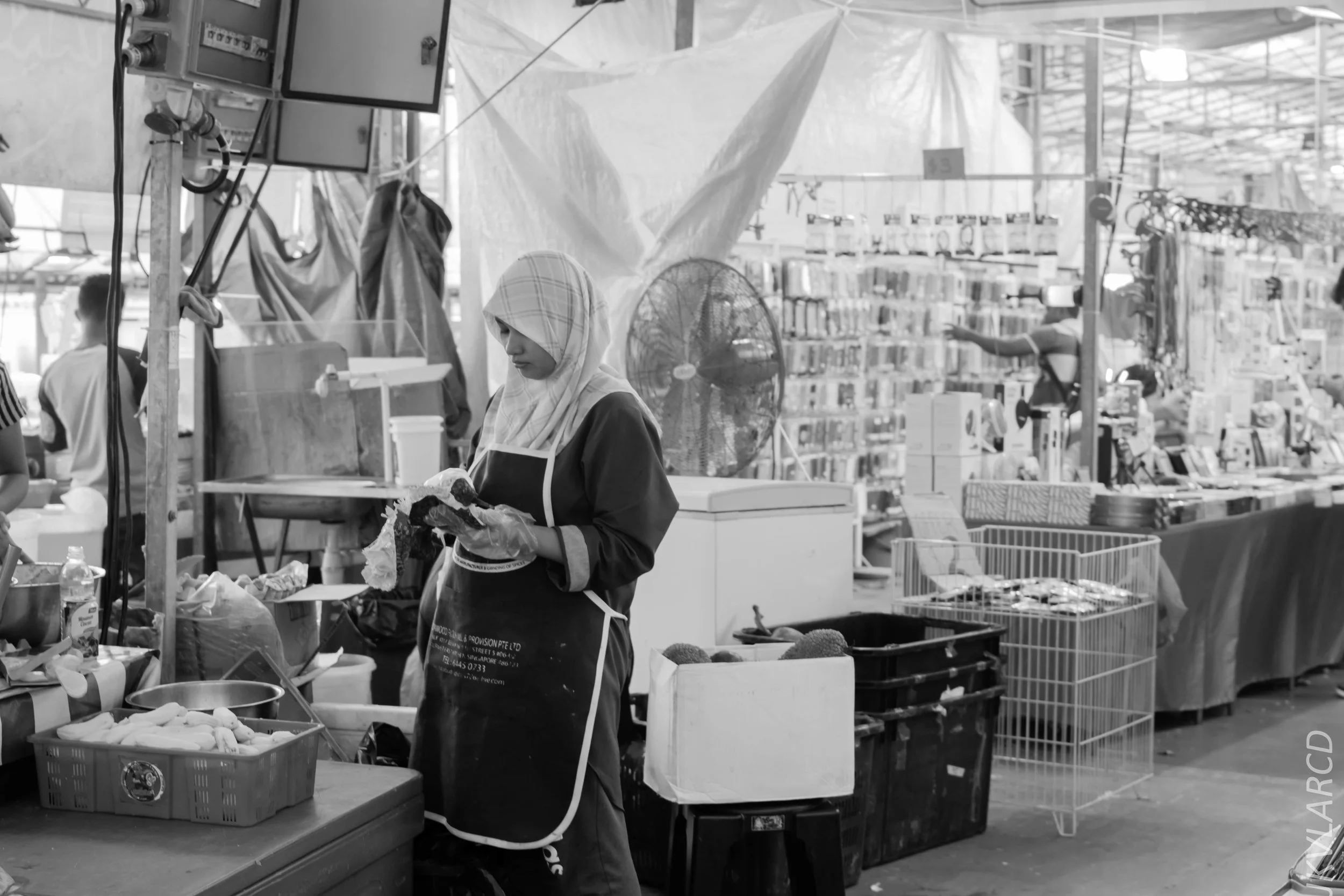 EOS 7D Mark II_2018_01_21_4241.jpg