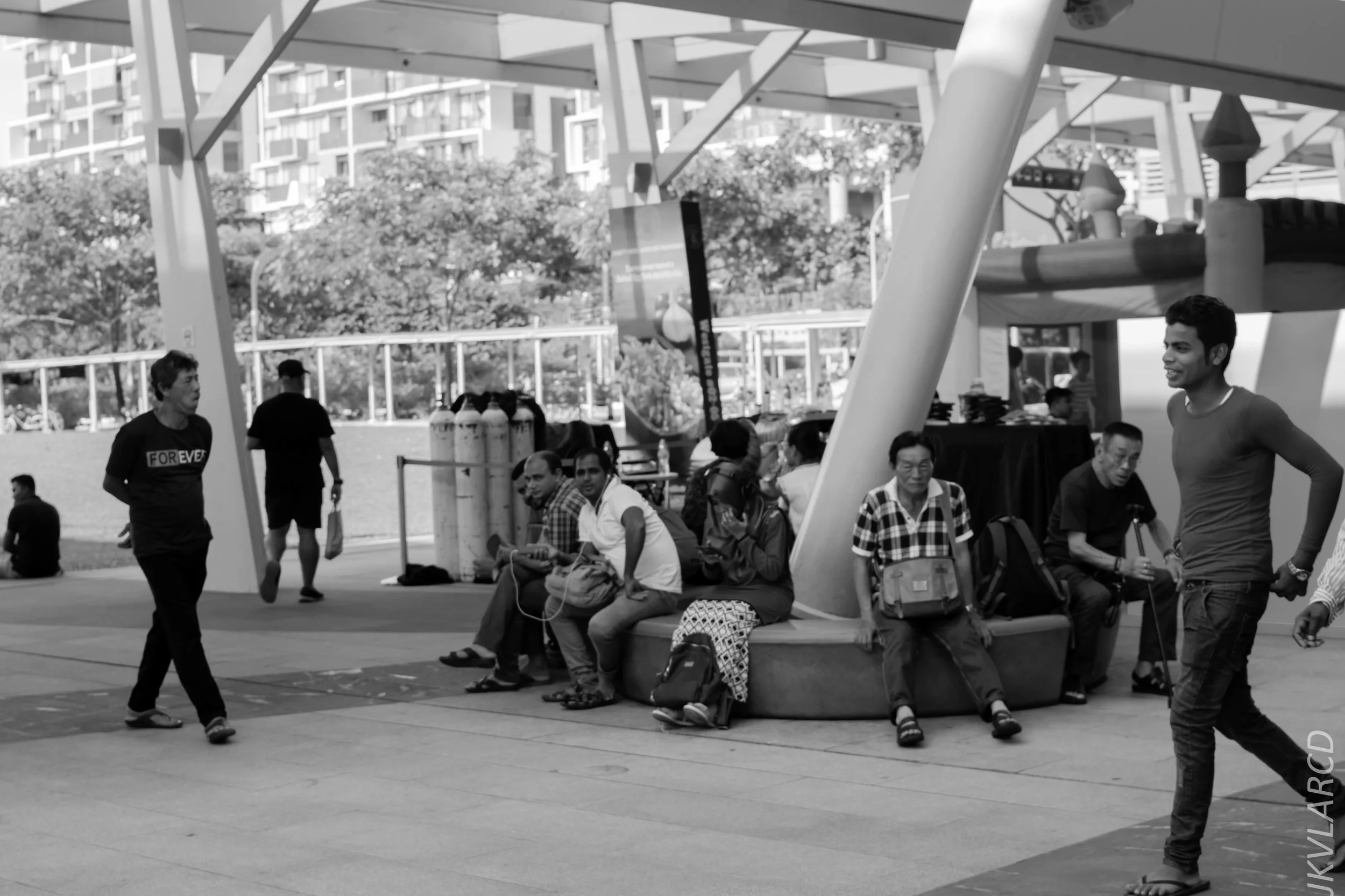 EOS 7D Mark II_2018_01_21_4252.jpg