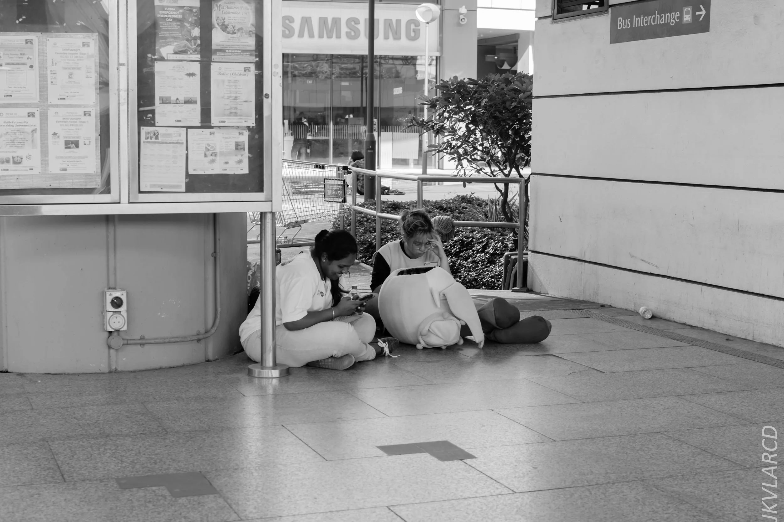 EOS 7D Mark II_2018_01_21_4251.jpg