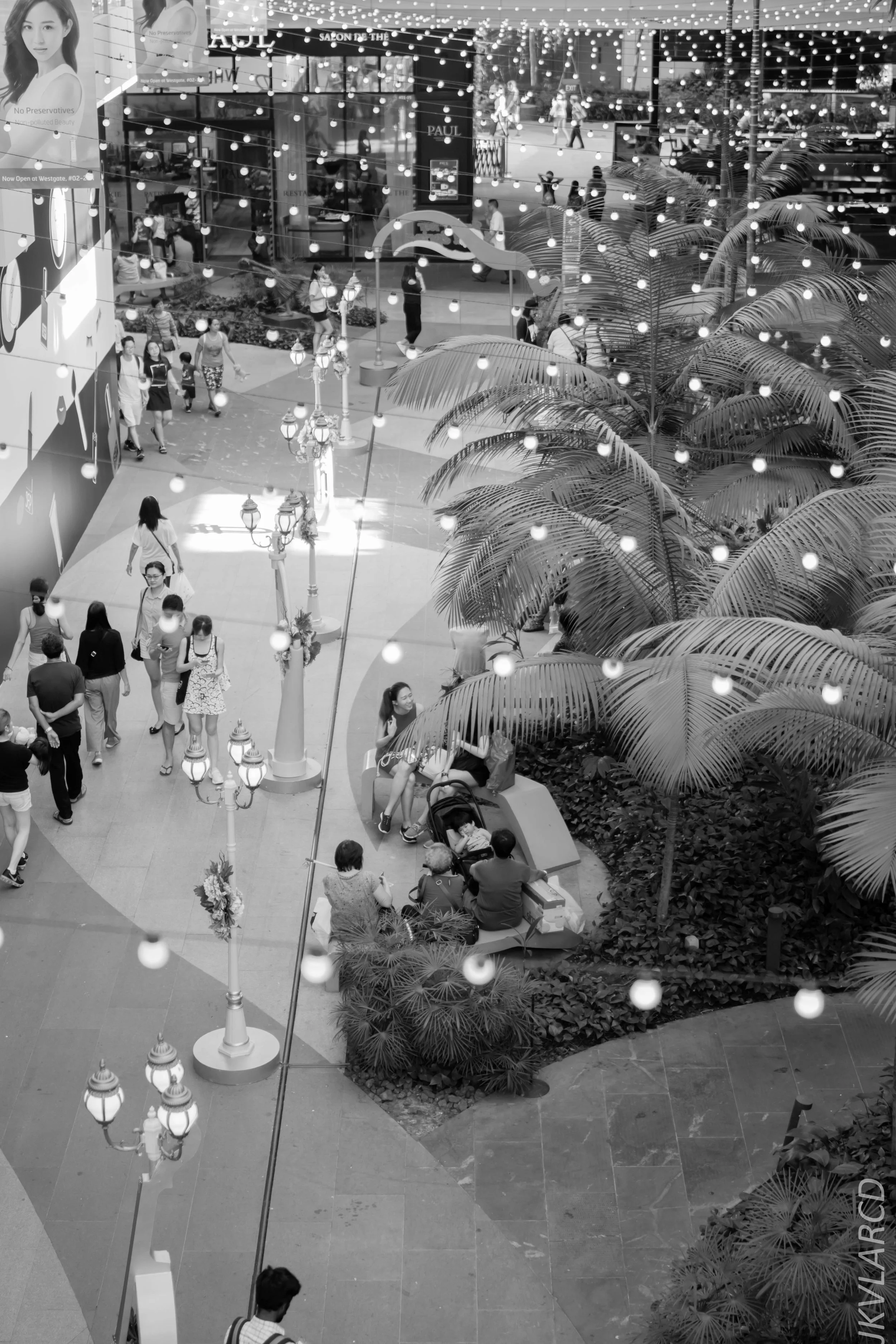 EOS 7D Mark II_2018_01_21_4255.jpg