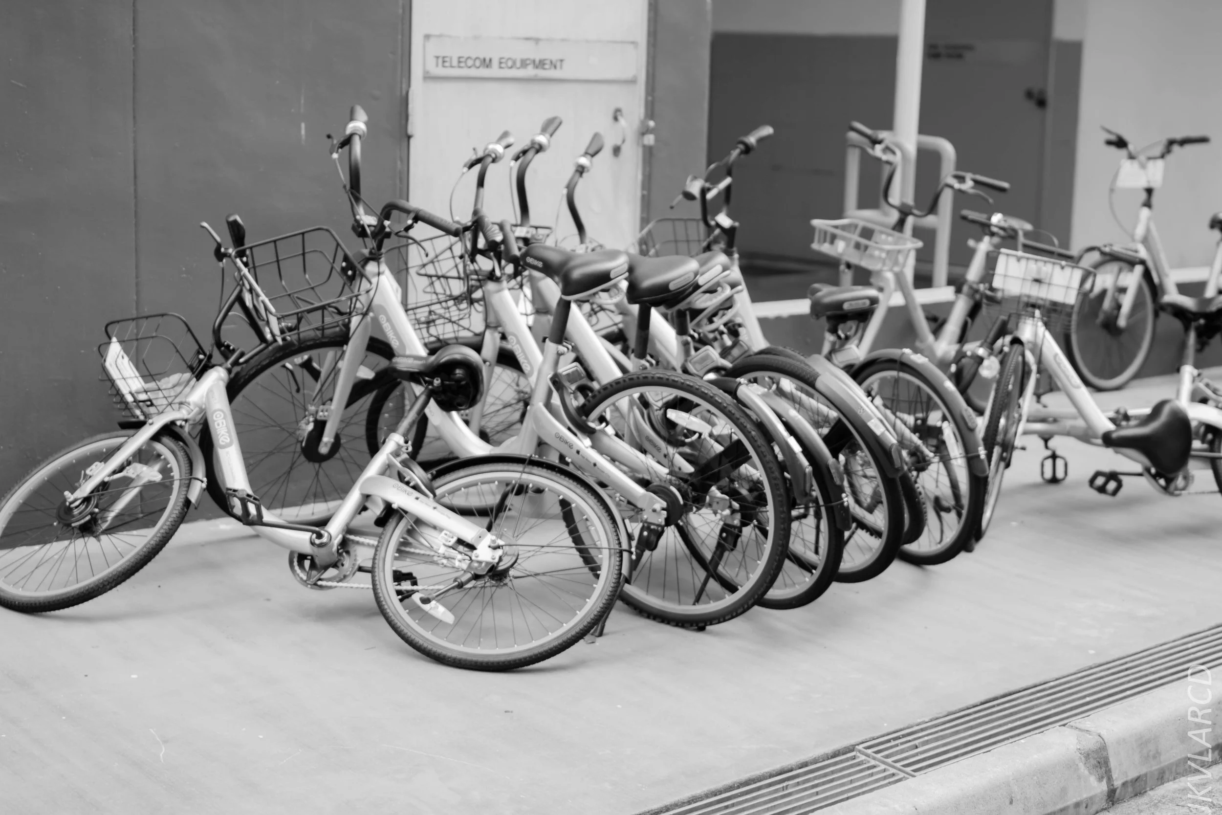 EOS 7D Mark II_2018_01_21_4259.jpg