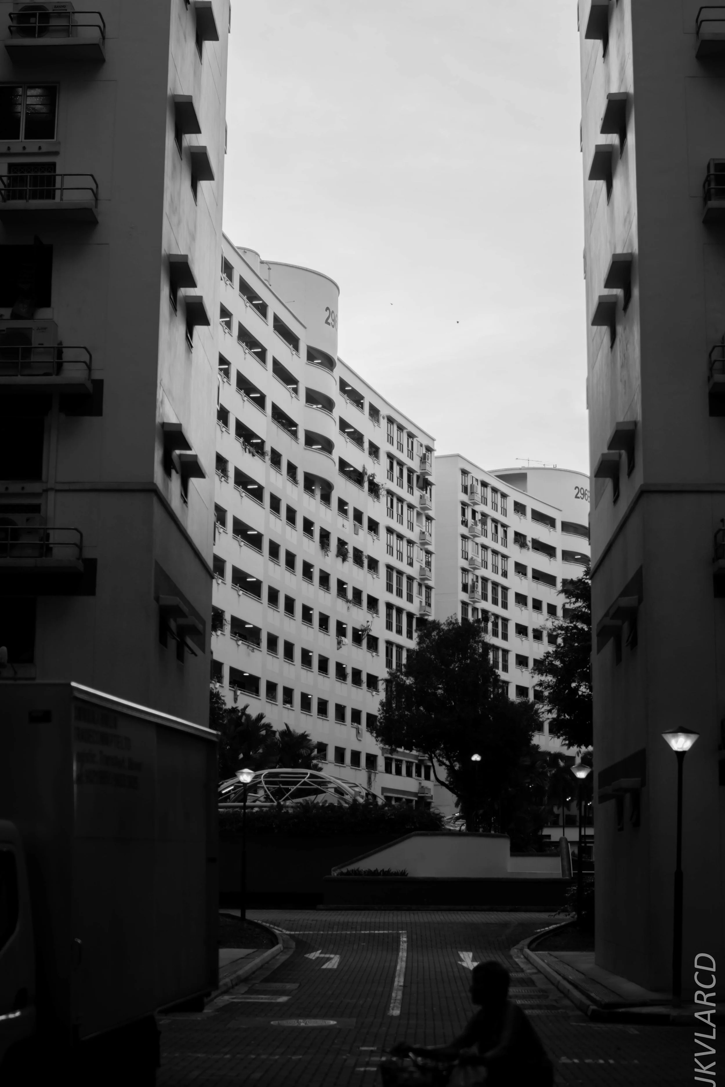 EOS 7D Mark II_2018_01_21_4260.jpg