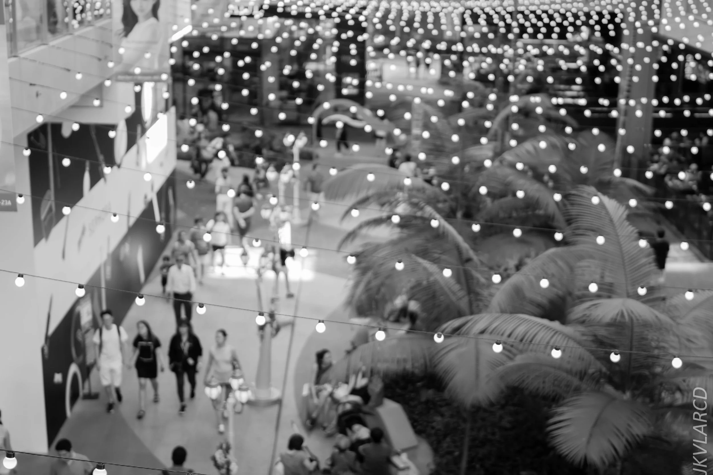 EOS 7D Mark II_2018_01_21_4256.jpg