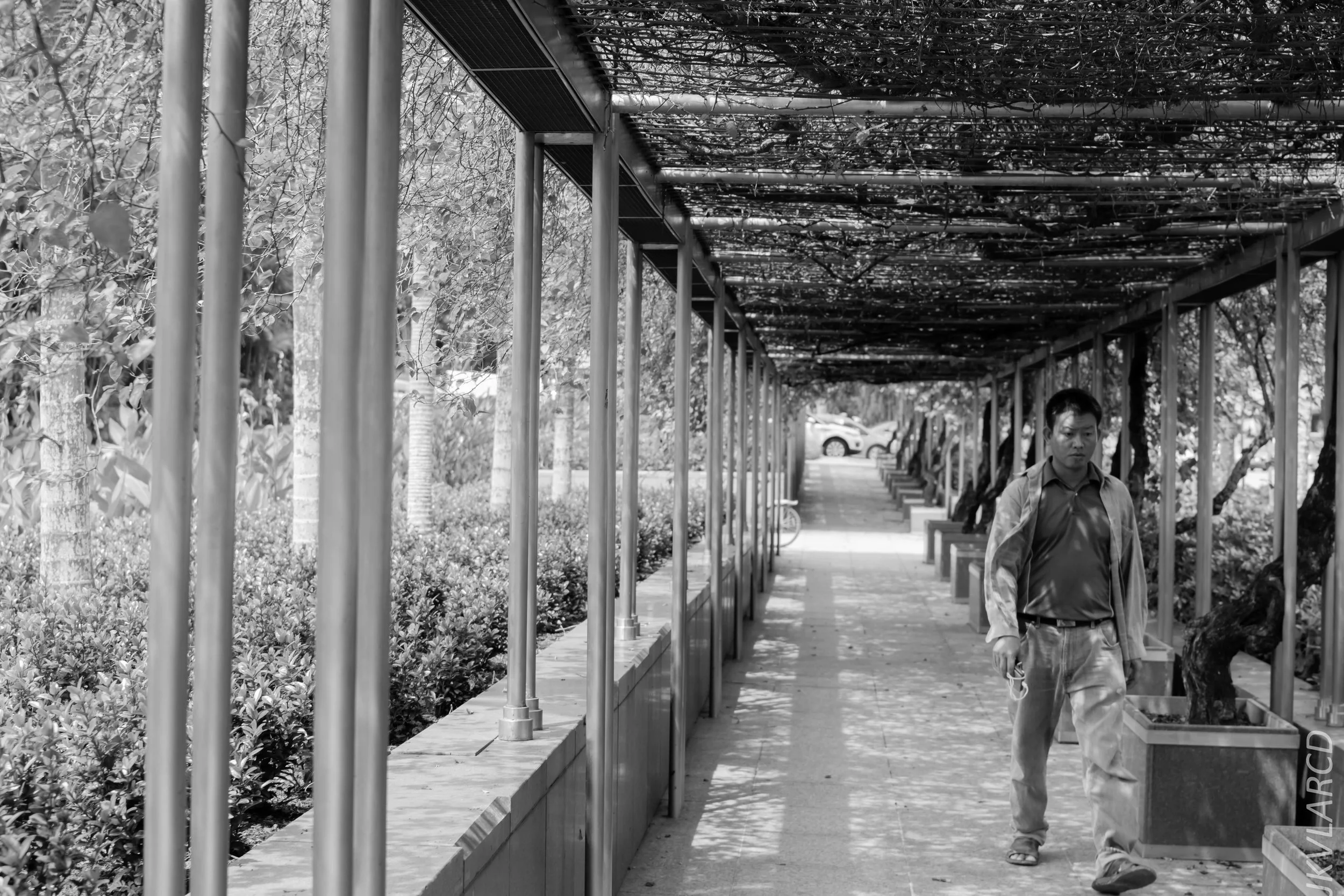 EOS 7D Mark II_2018_01_24_4280.jpg