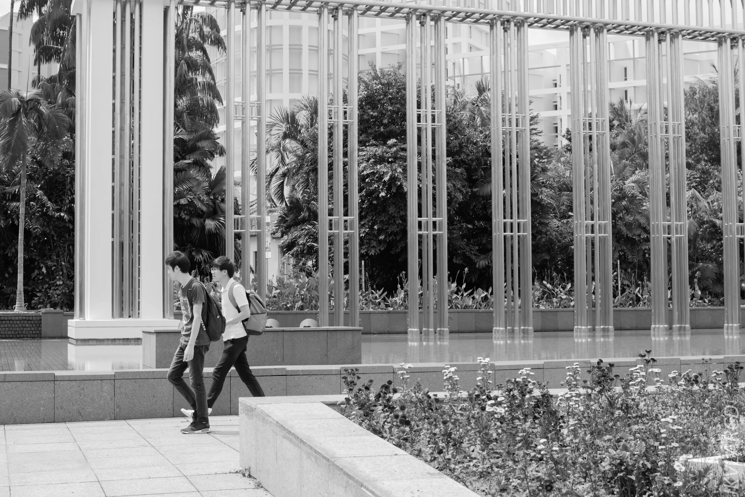 EOS 7D Mark II_2018_01_24_4279.jpg