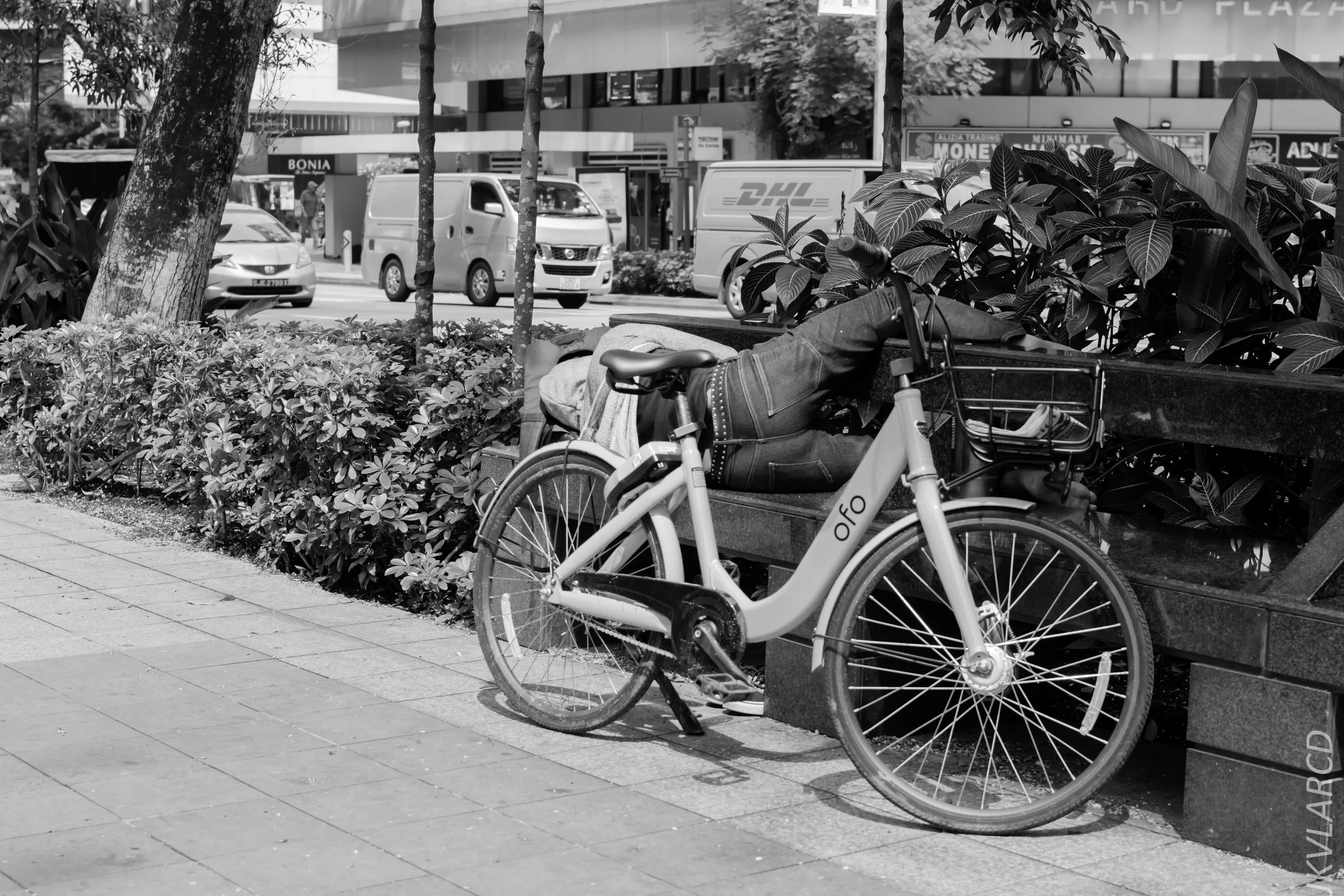 EOS 7D Mark II_2018_01_24_4283.jpg