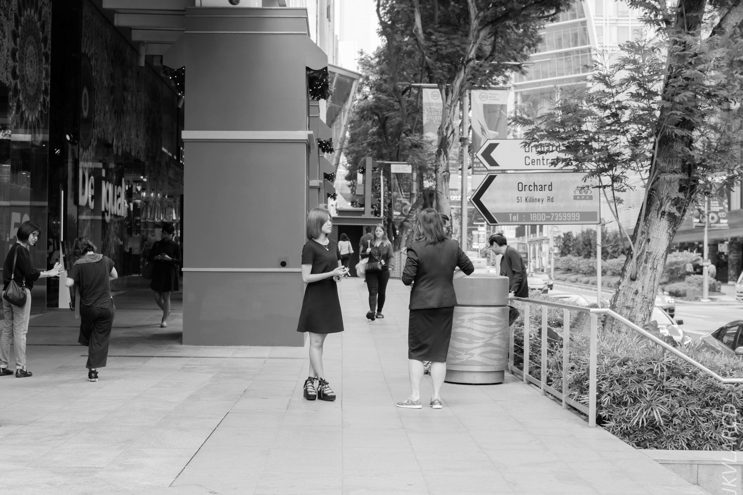 EOS 7D Mark II_2018_01_24_4287.jpg