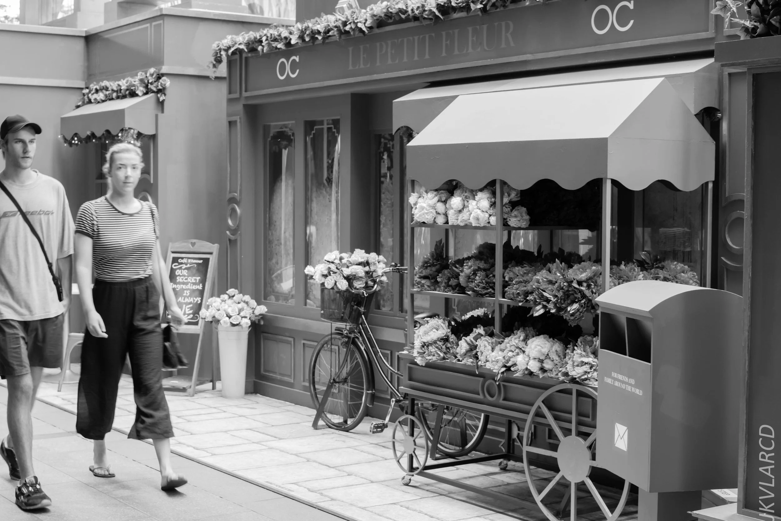 EOS 7D Mark II_2018_01_24_4289.jpg