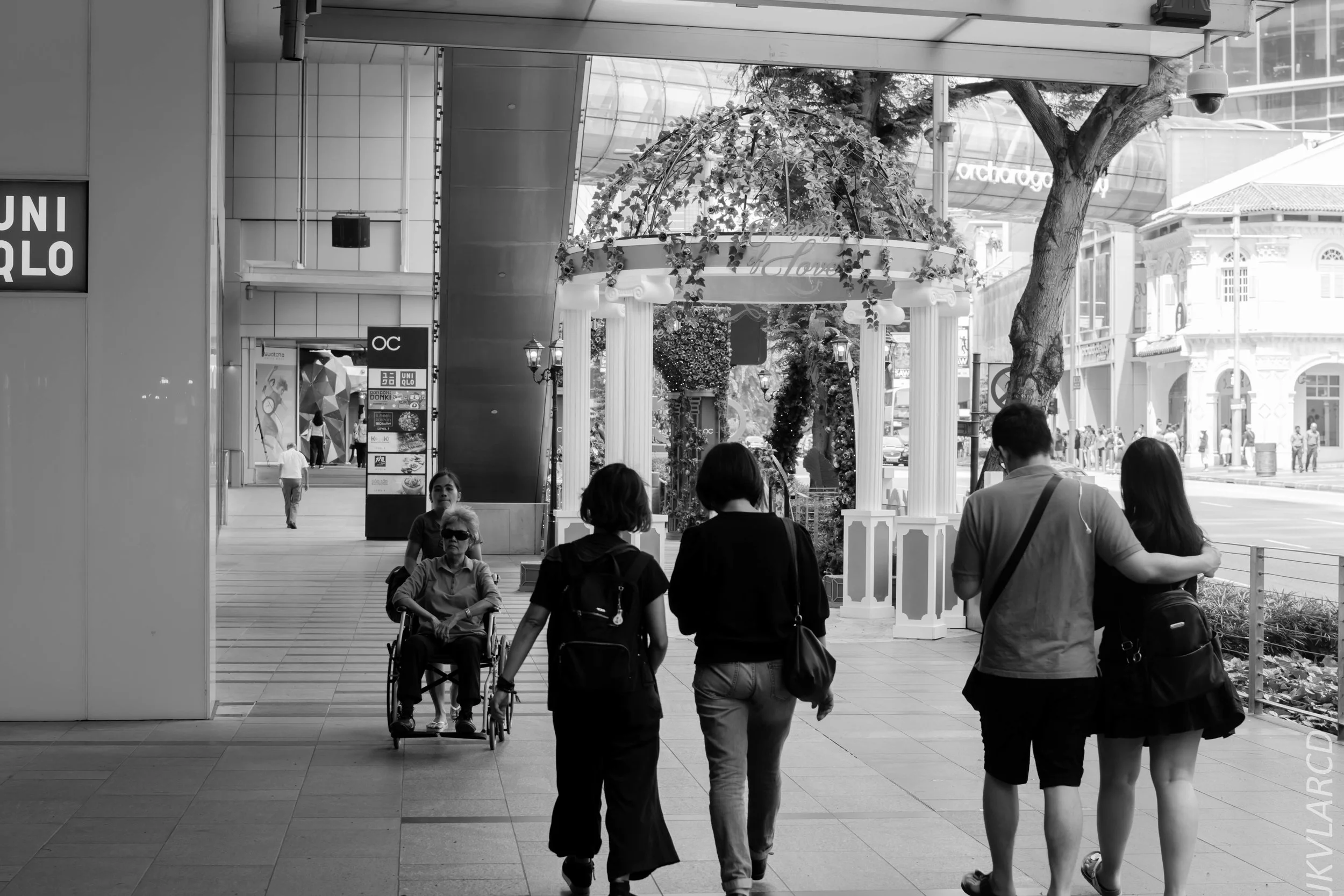 EOS 7D Mark II_2018_01_24_4291.jpg