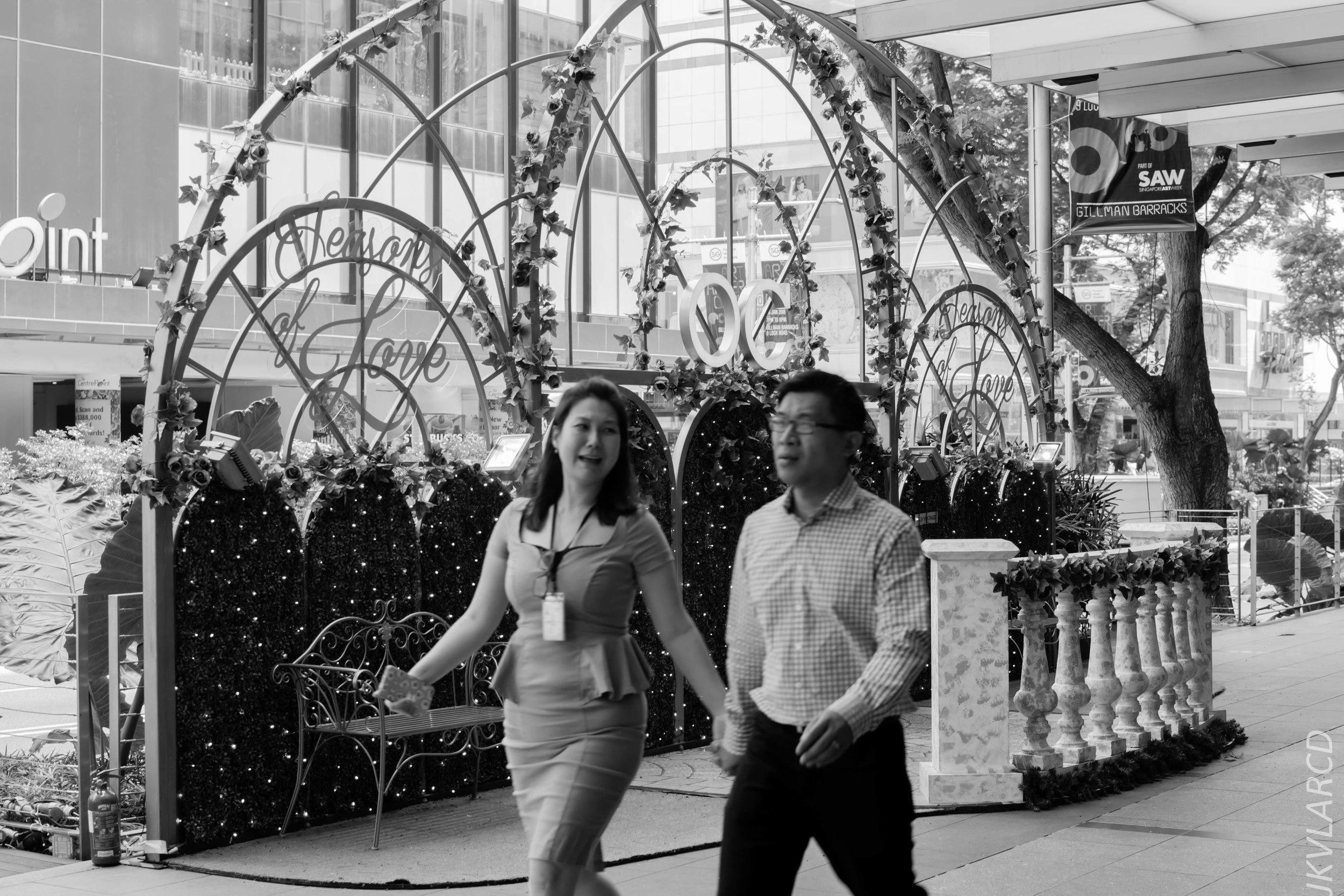 EOS 7D Mark II_2018_01_24_4292.jpg