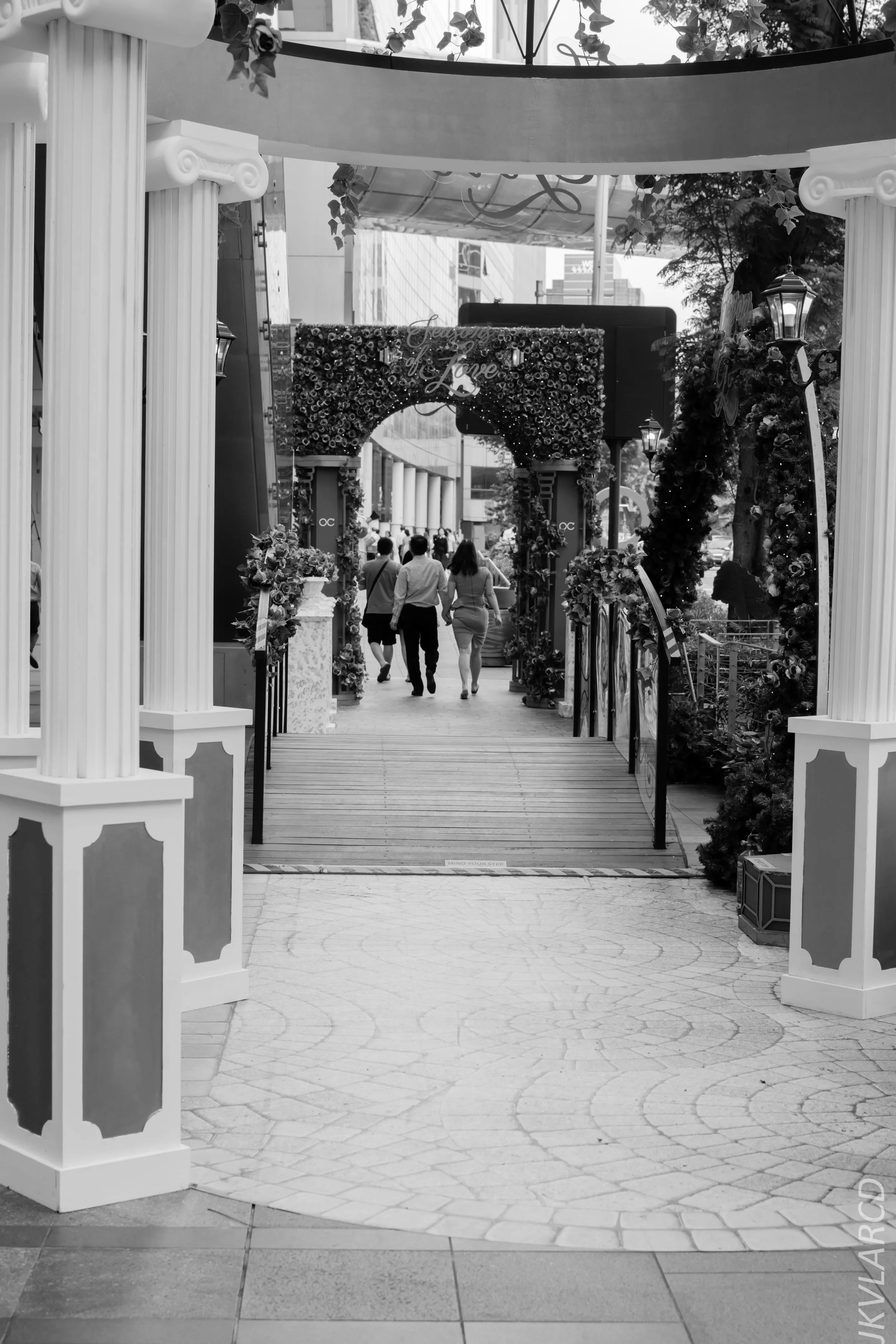 EOS 7D Mark II_2018_01_24_4294.jpg