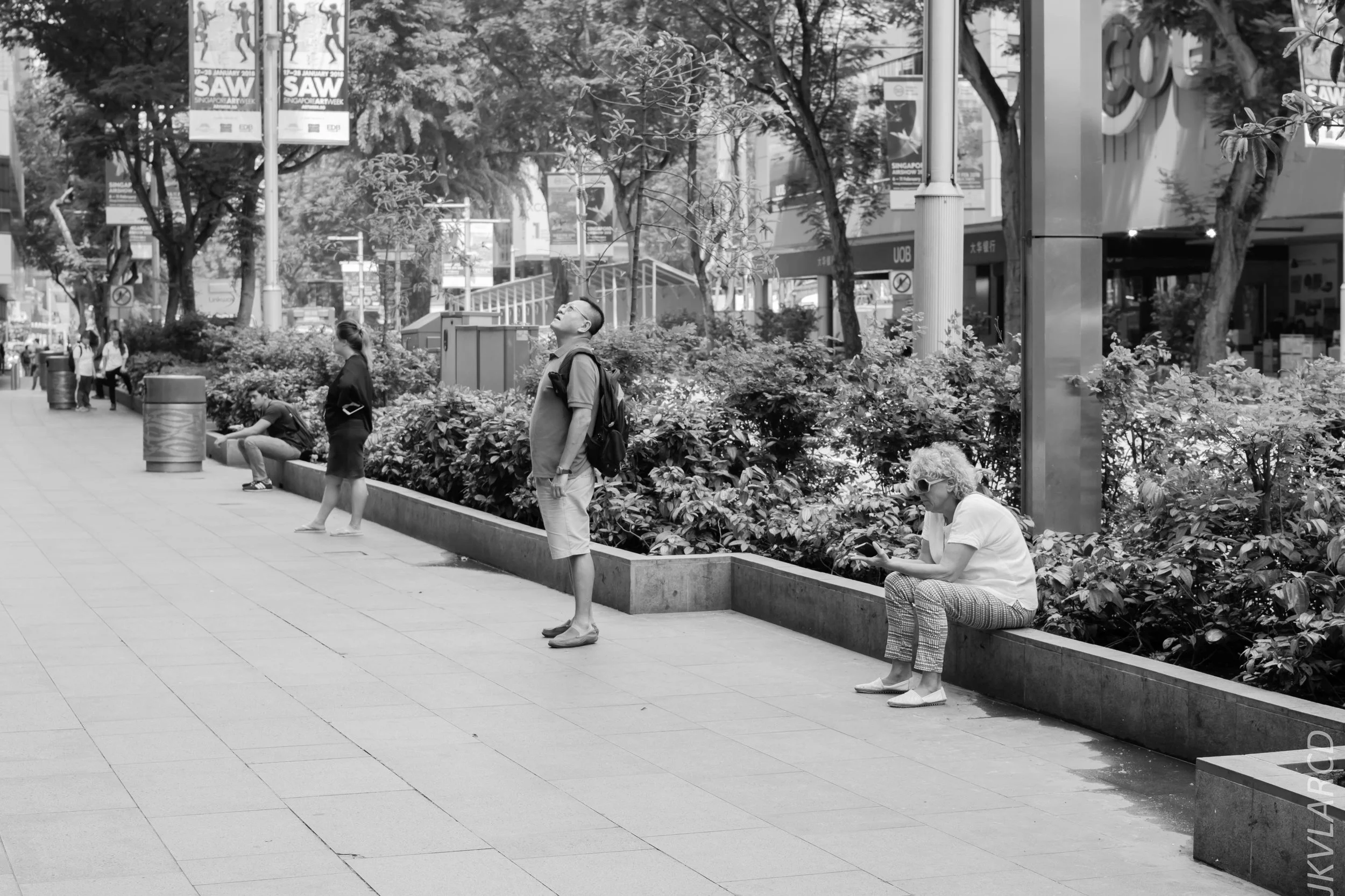 EOS 7D Mark II_2018_01_24_4301.jpg