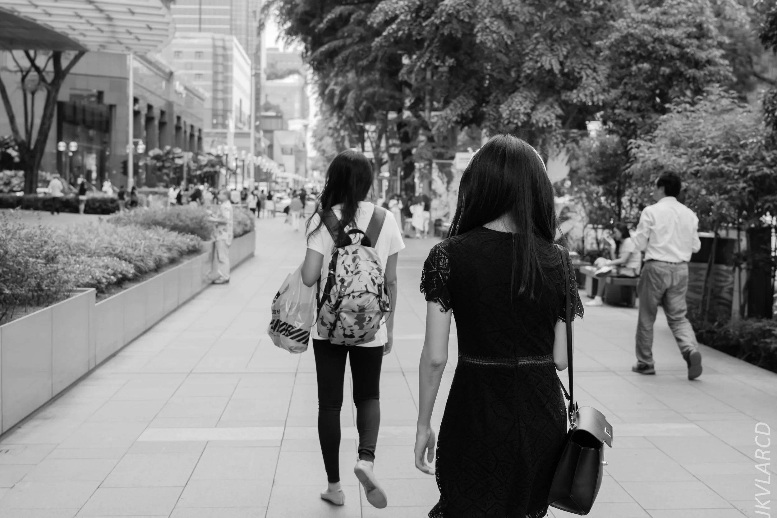 EOS 7D Mark II_2018_01_24_4309.jpg