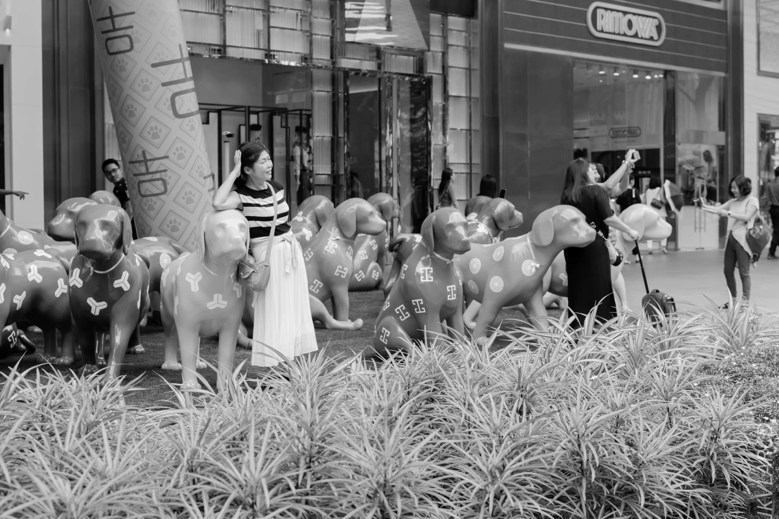 EOS 7D Mark II_2018_01_24_4311.jpg