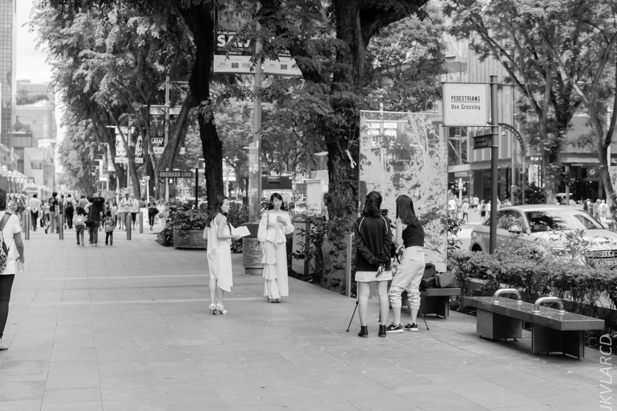 EOS 7D Mark II_2018_01_24_4312.jpg