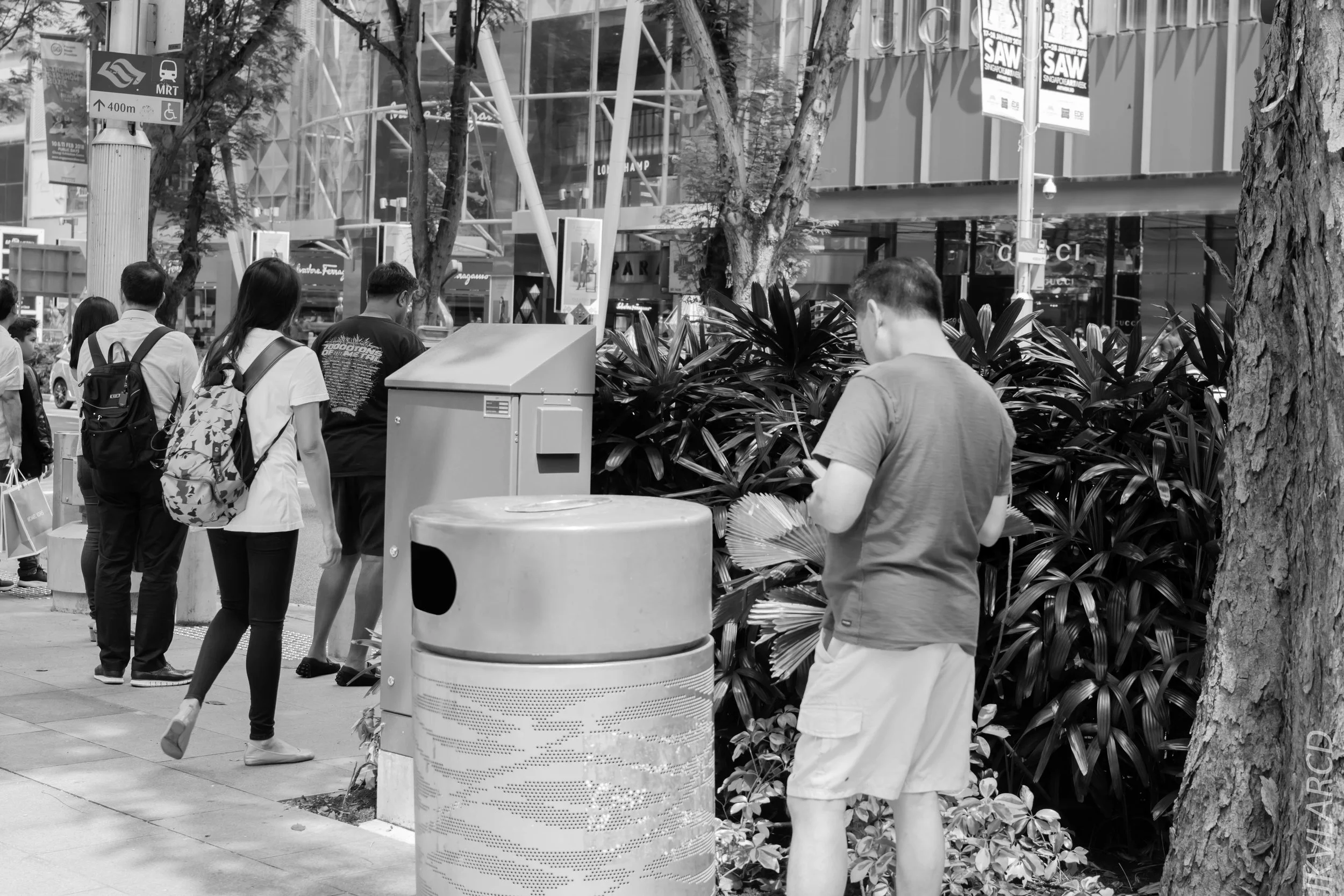 EOS 7D Mark II_2018_01_24_4313.jpg