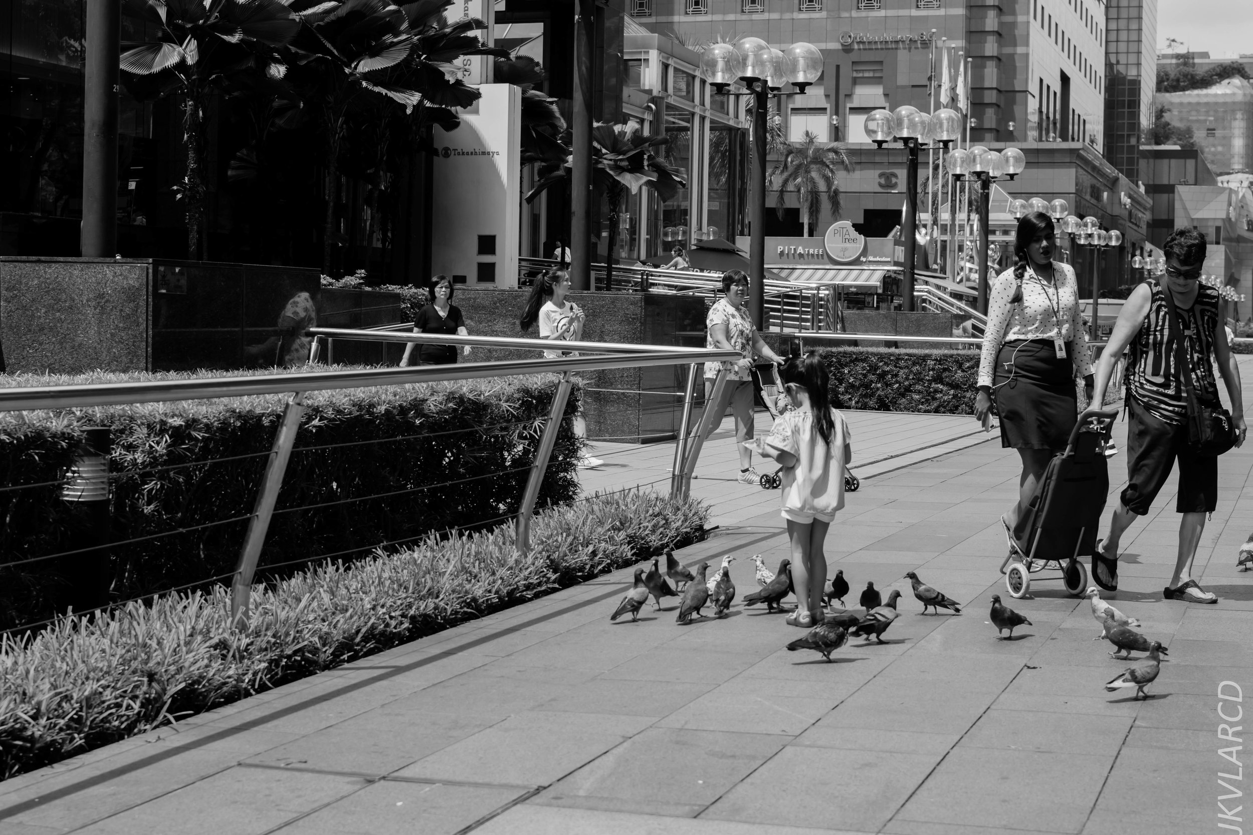 EOS 7D Mark II_2018_01_24_4314.jpg