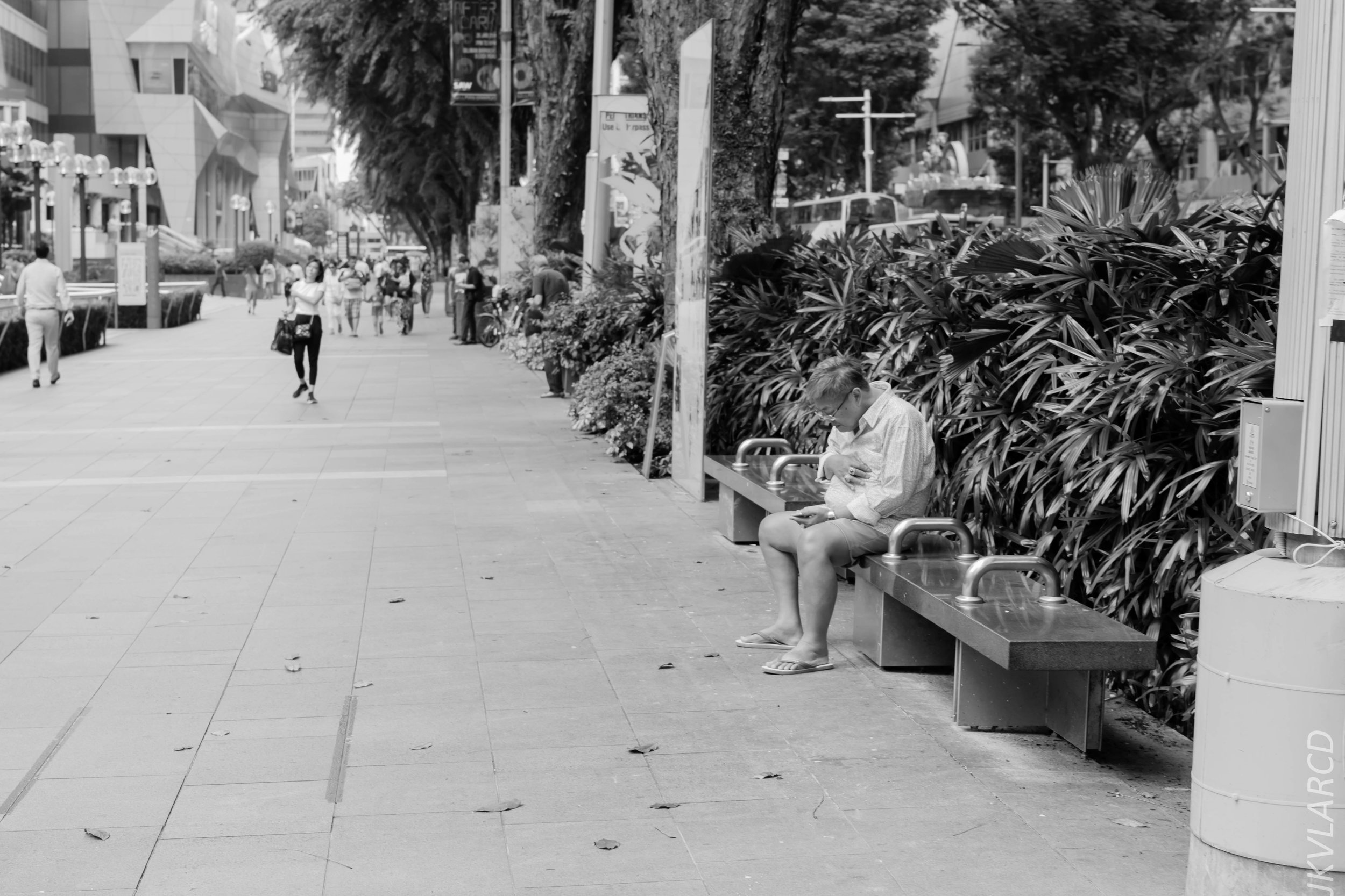 EOS 7D Mark II_2018_01_24_4318.jpg