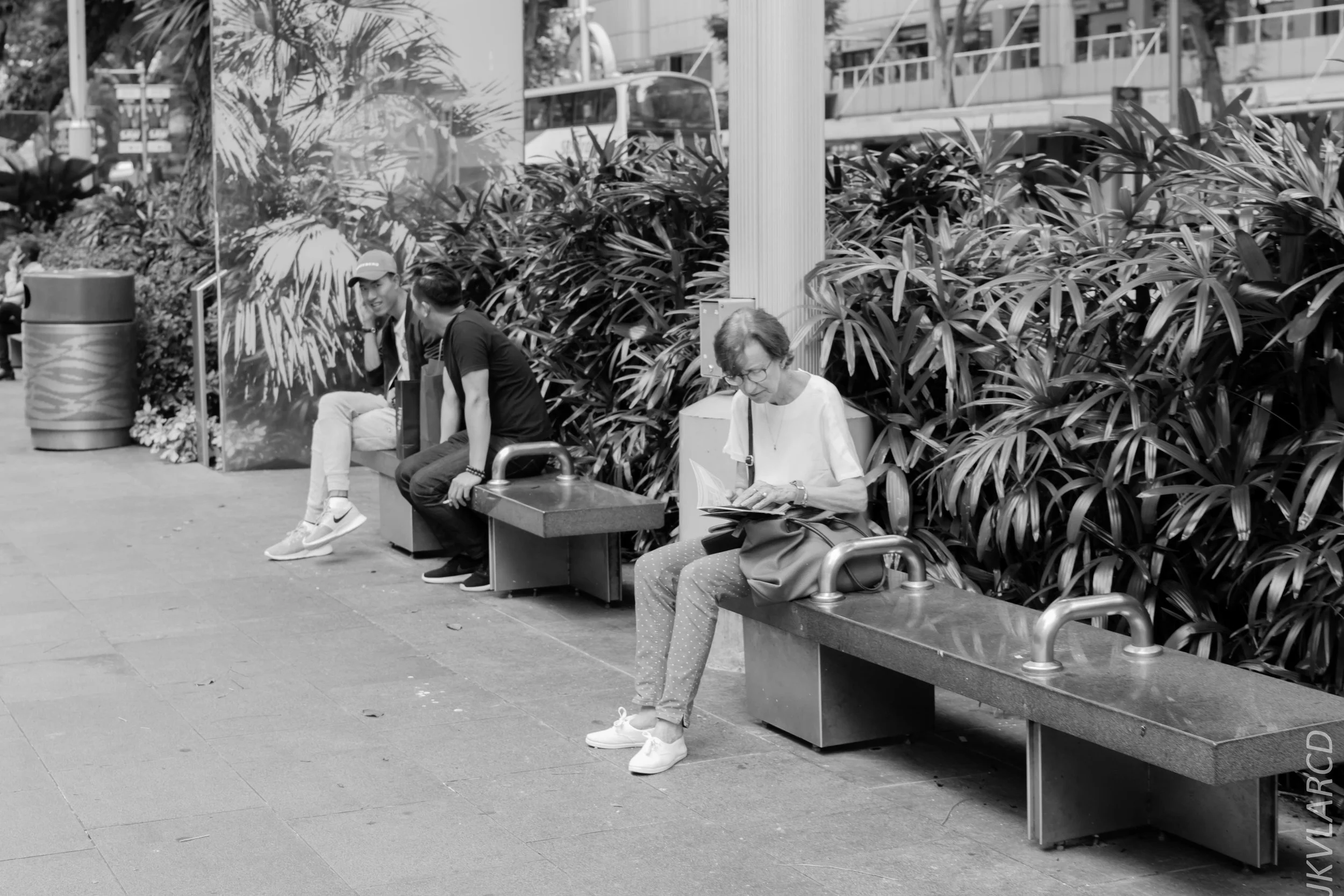 EOS 7D Mark II_2018_01_24_4319.jpg