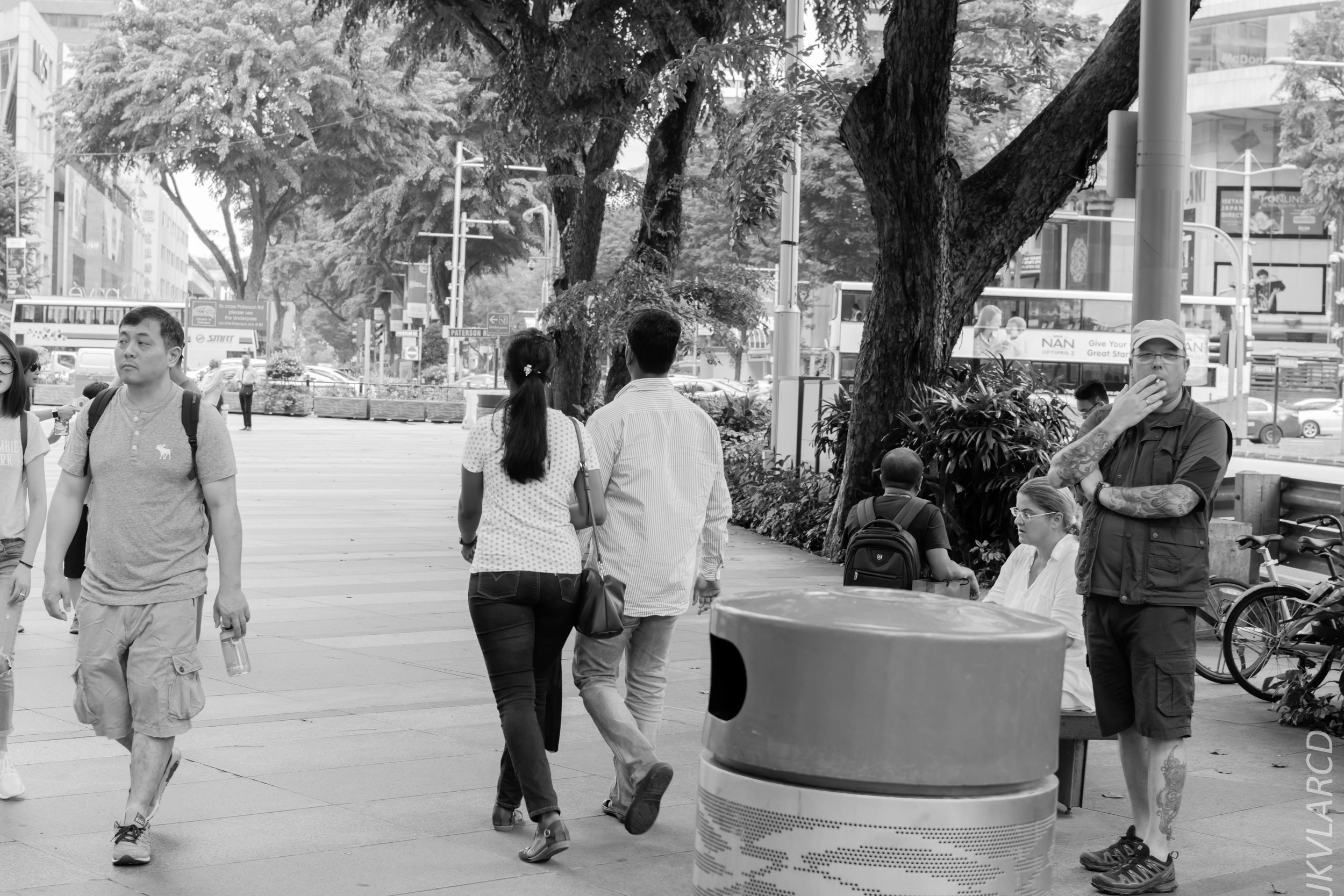 EOS 7D Mark II_2018_01_24_4325.jpg