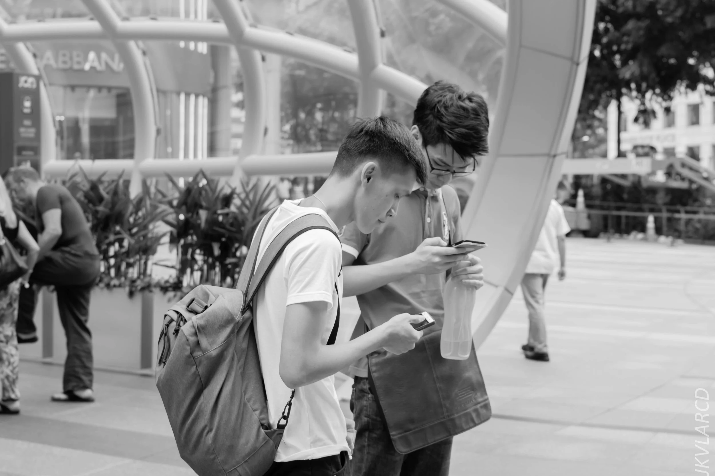 EOS 7D Mark II_2018_01_24_4327.jpg