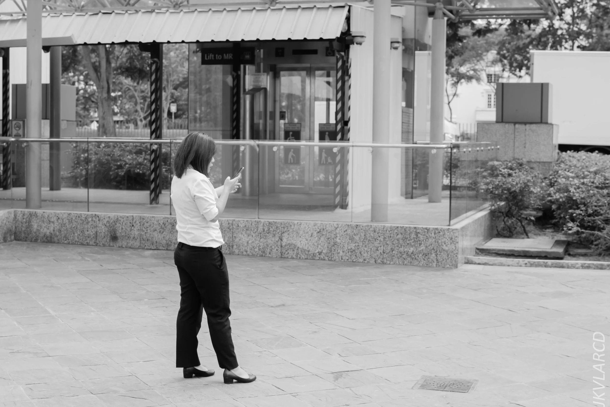 EOS 7D Mark II_2018_01_24_4363.jpg