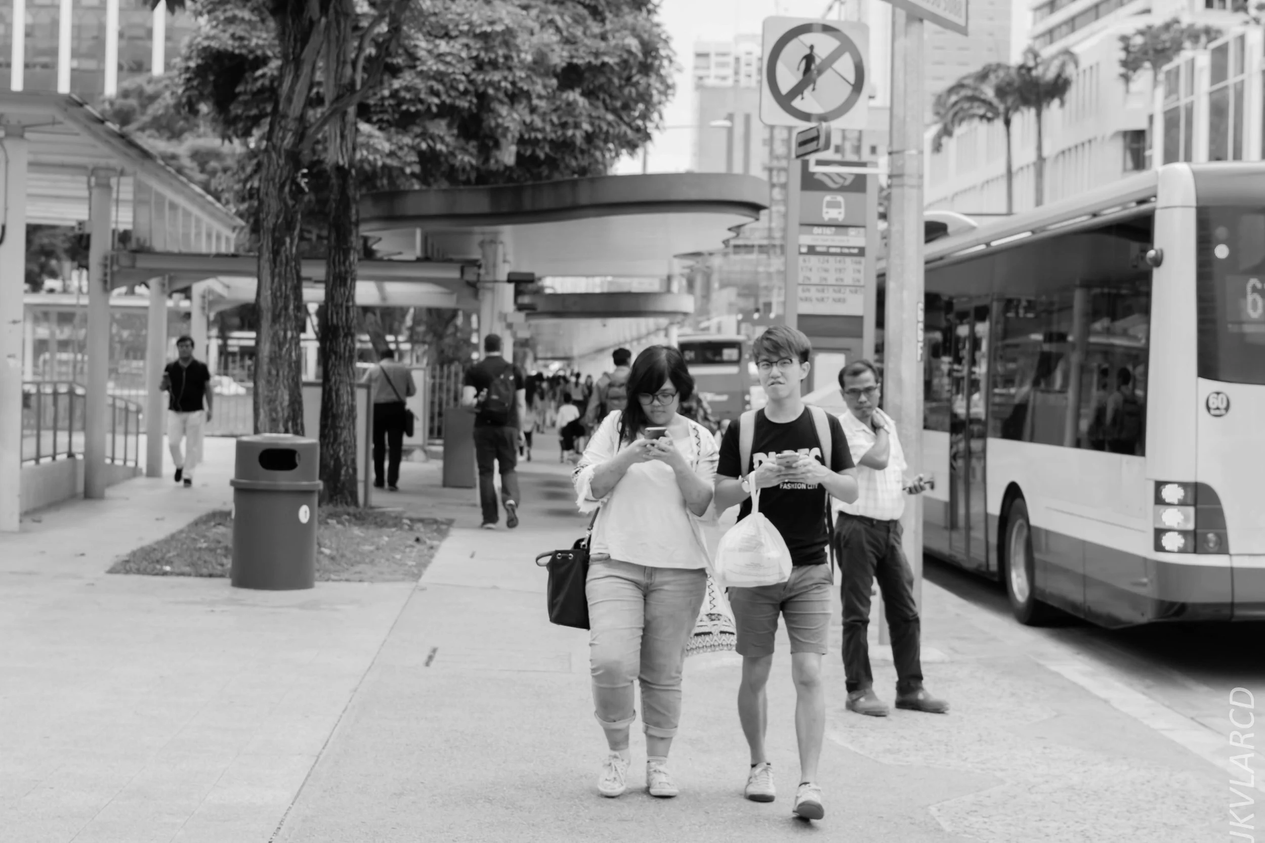 EOS 7D Mark II_2018_01_24_4366.jpg