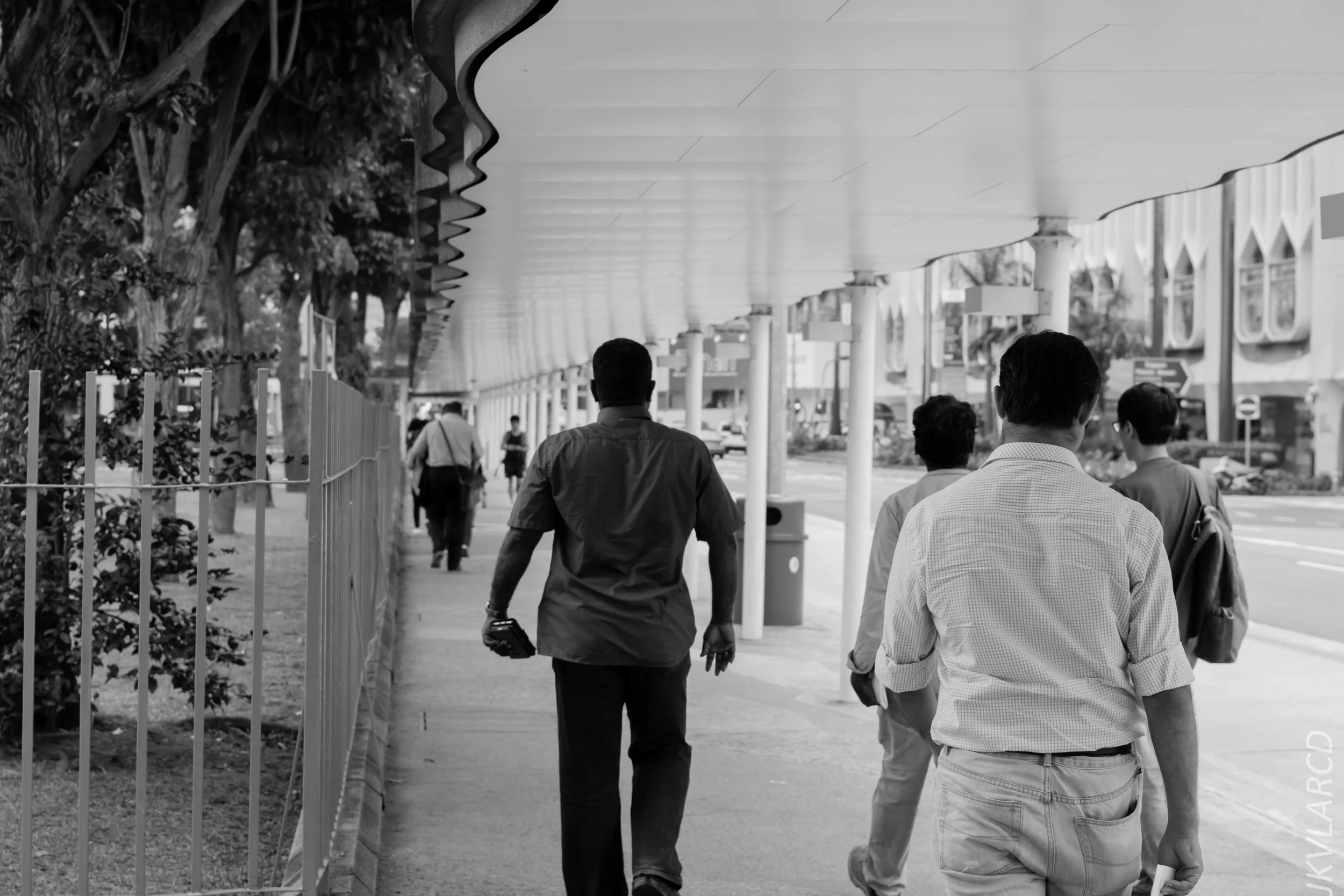 EOS 7D Mark II_2018_01_24_4367.jpg