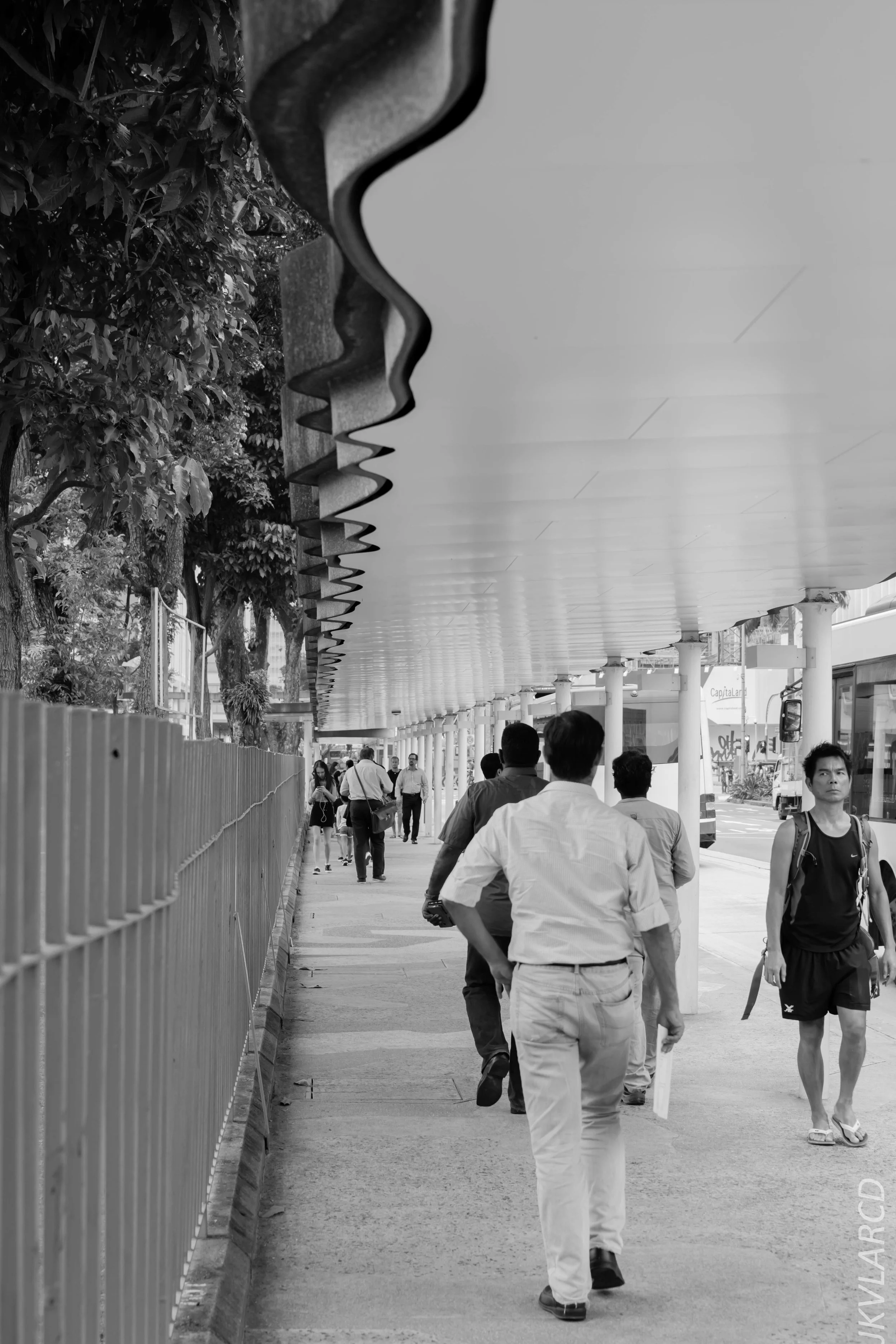 EOS 7D Mark II_2018_01_24_4368.jpg