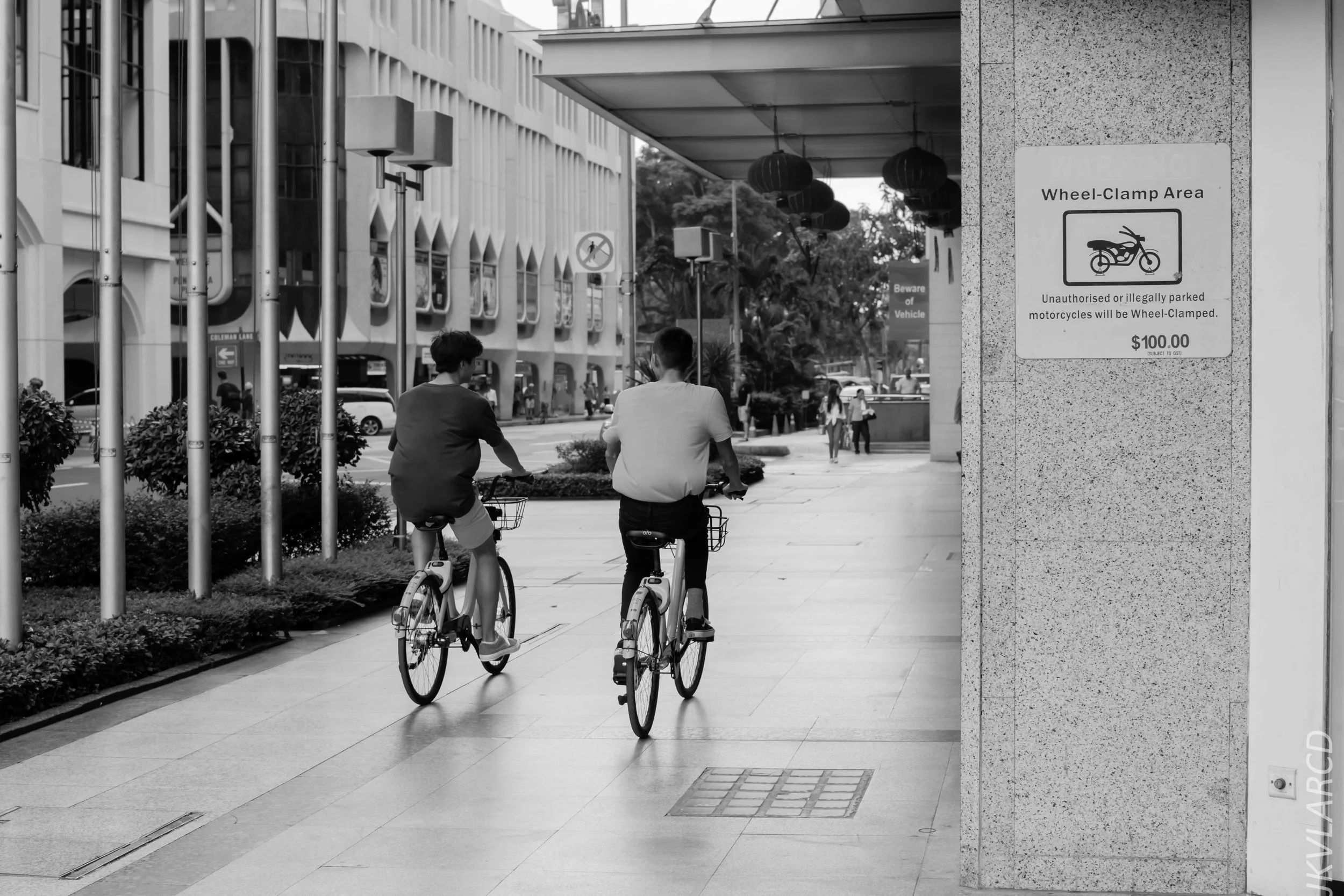 EOS 7D Mark II_2018_01_24_4376.jpg