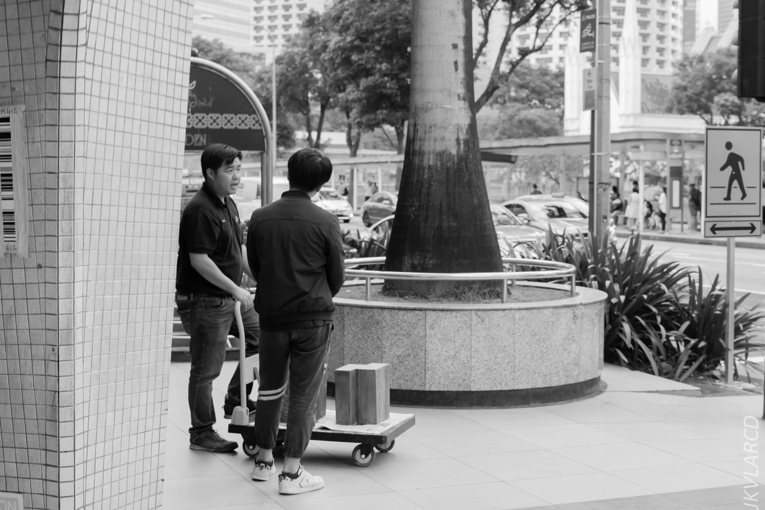 EOS 7D Mark II_2018_01_24_4381.jpg