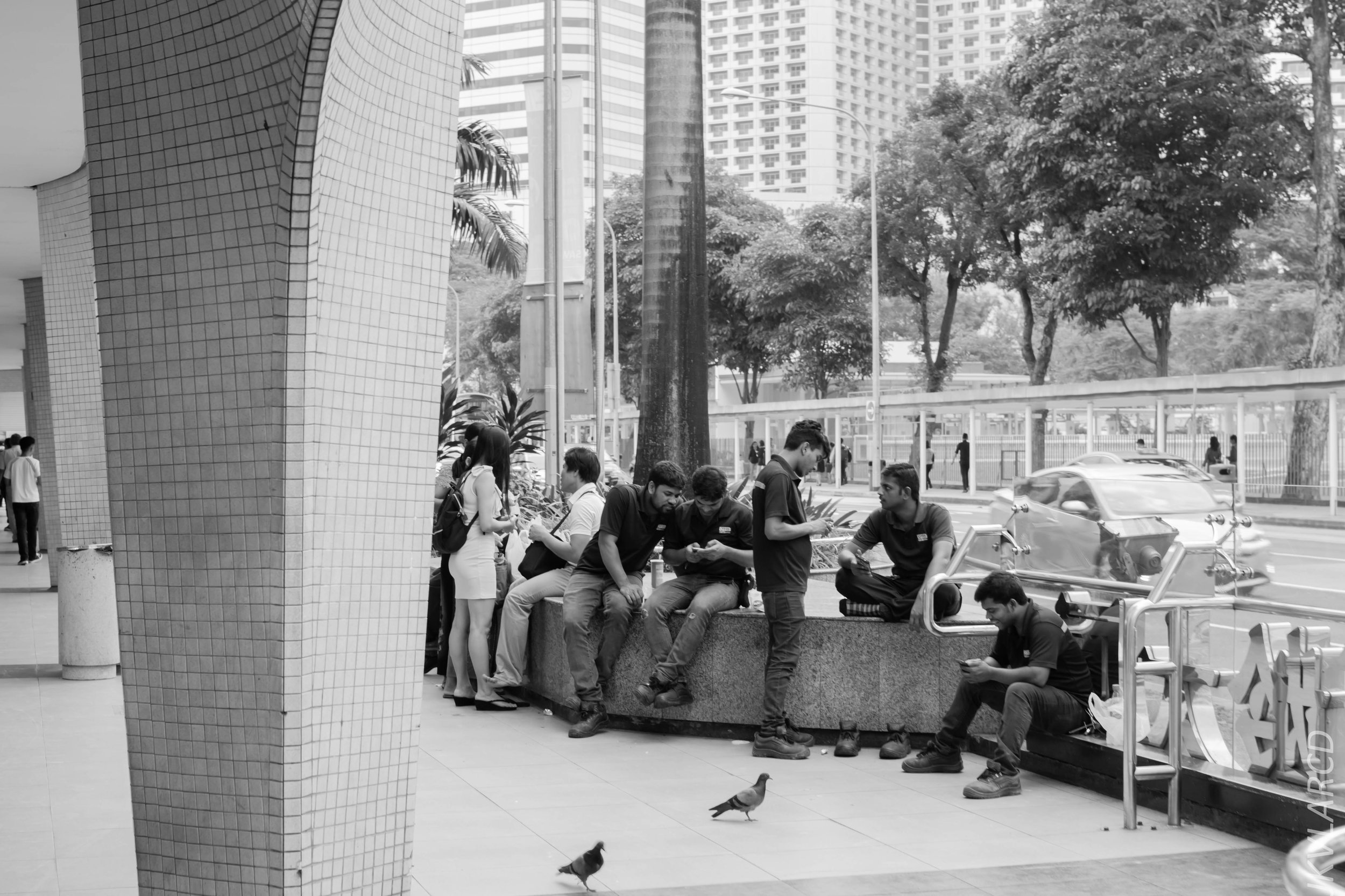 EOS 7D Mark II_2018_01_24_4382.jpg