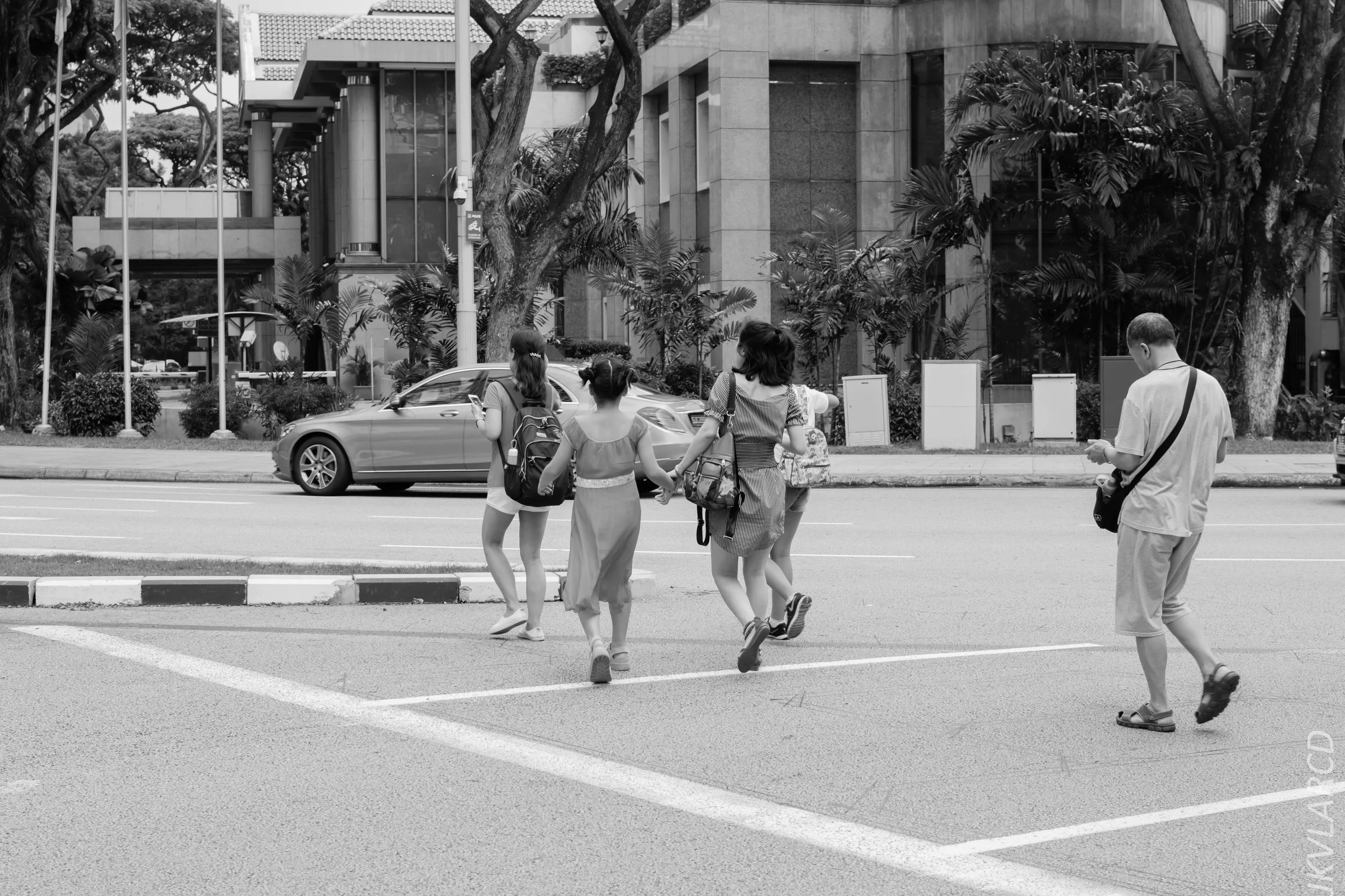 EOS 7D Mark II_2018_01_24_4393.jpg