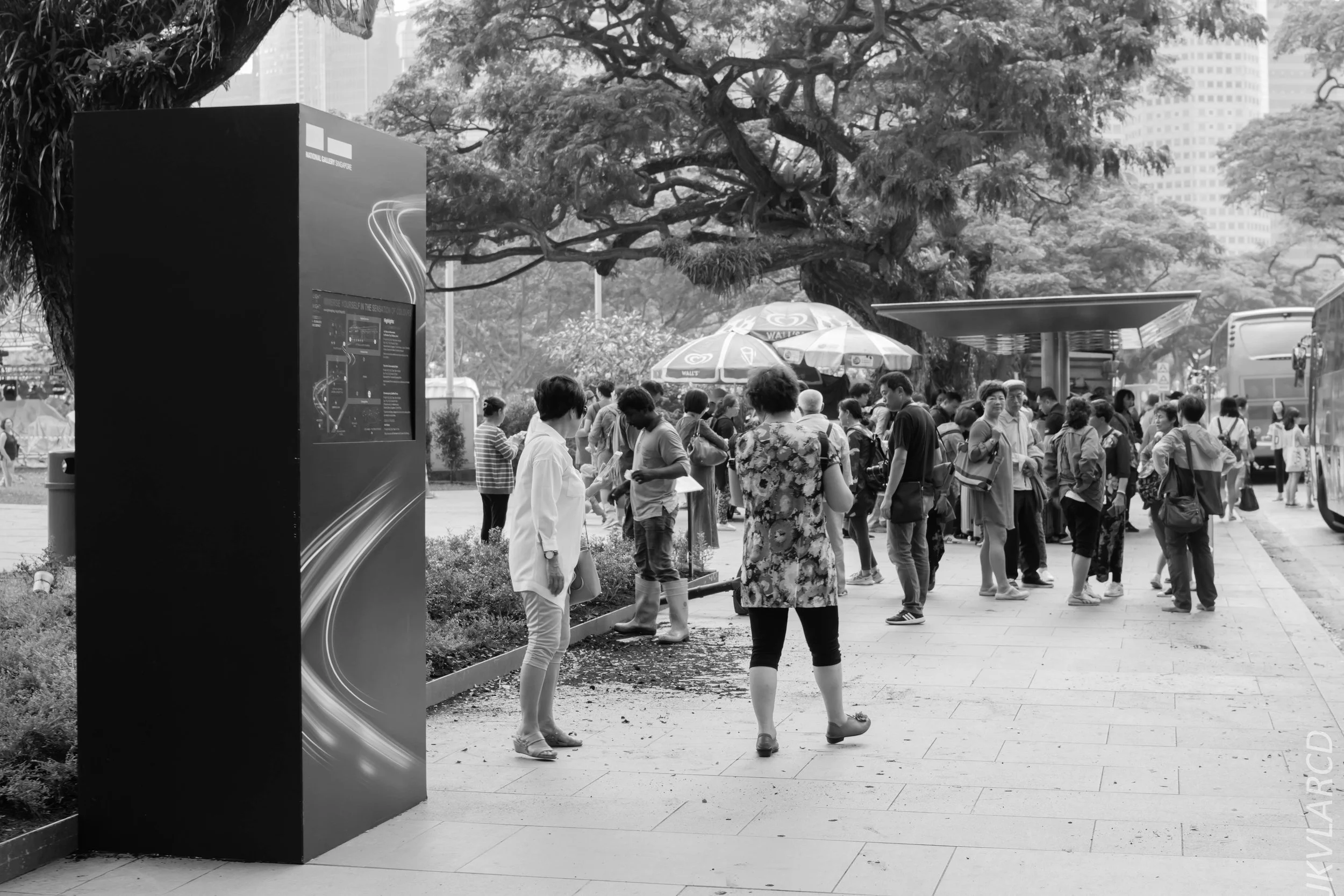 EOS 7D Mark II_2018_01_24_4400.jpg