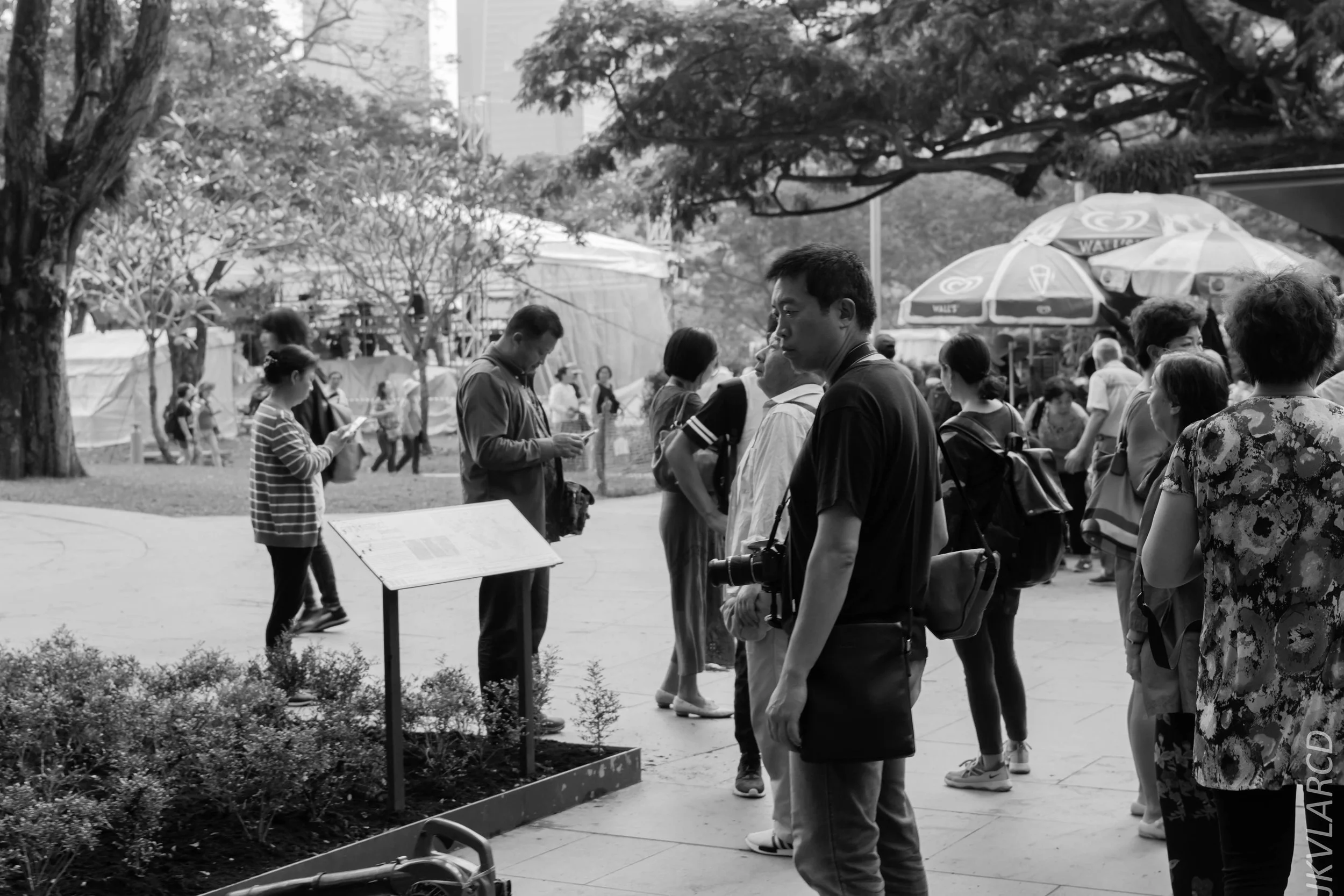 EOS 7D Mark II_2018_01_24_4401.jpg