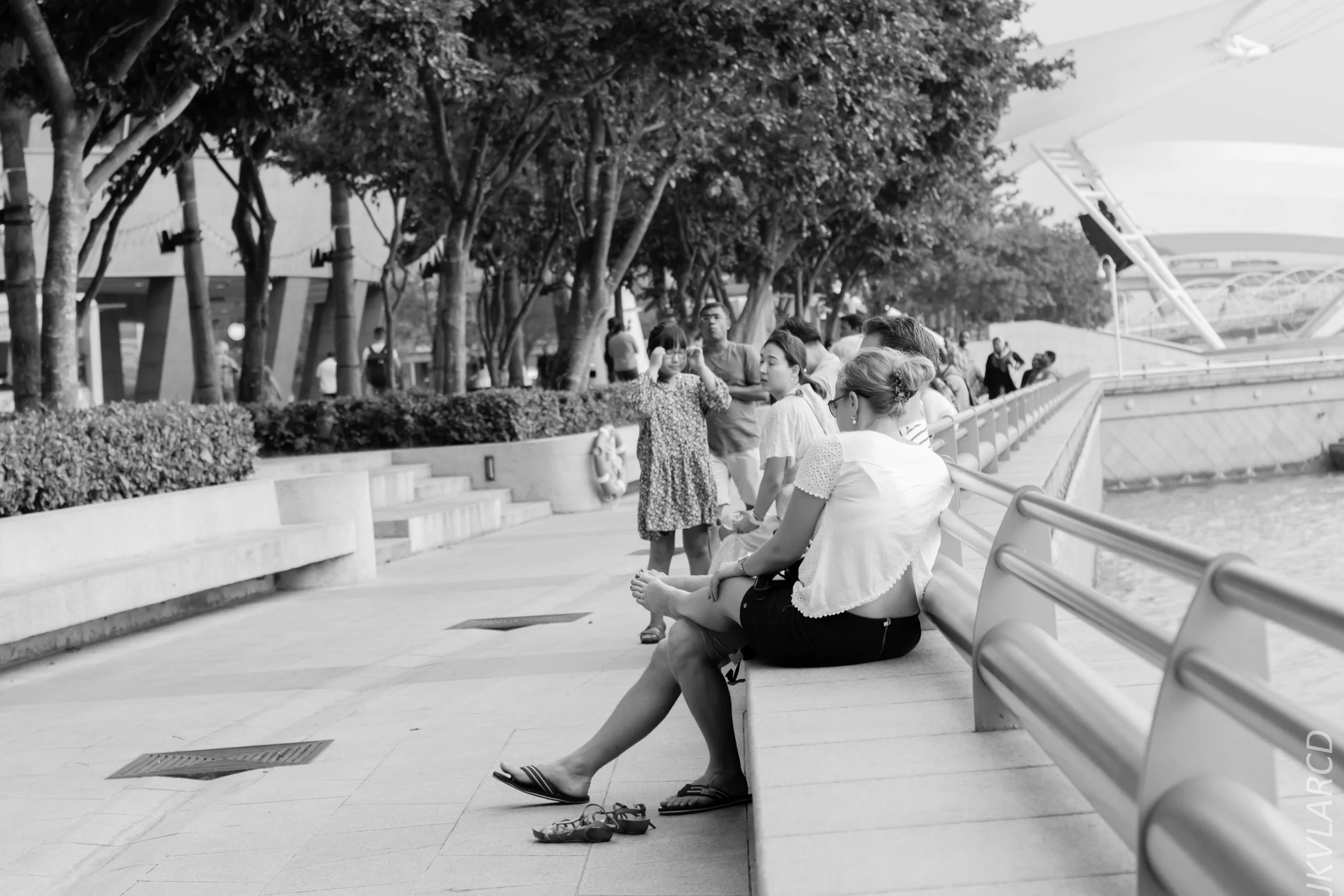 EOS 7D Mark II_2018_01_24_4411.jpg