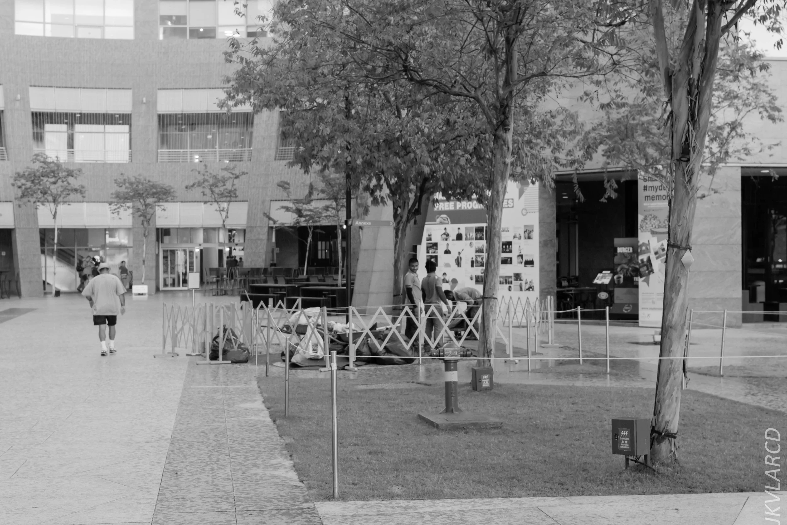 EOS 7D Mark II_2018_01_24_4421.jpg