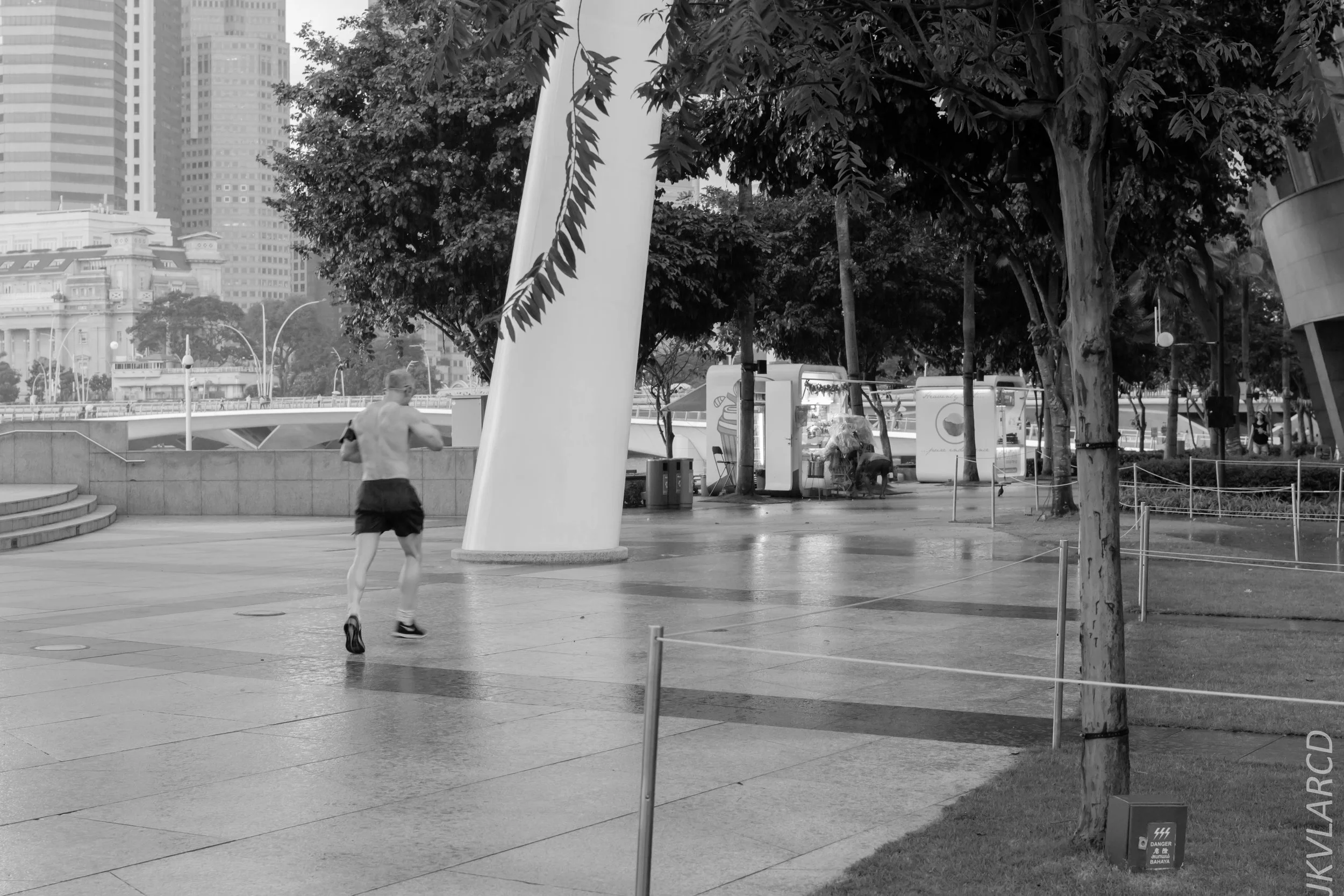 EOS 7D Mark II_2018_01_24_4422.jpg