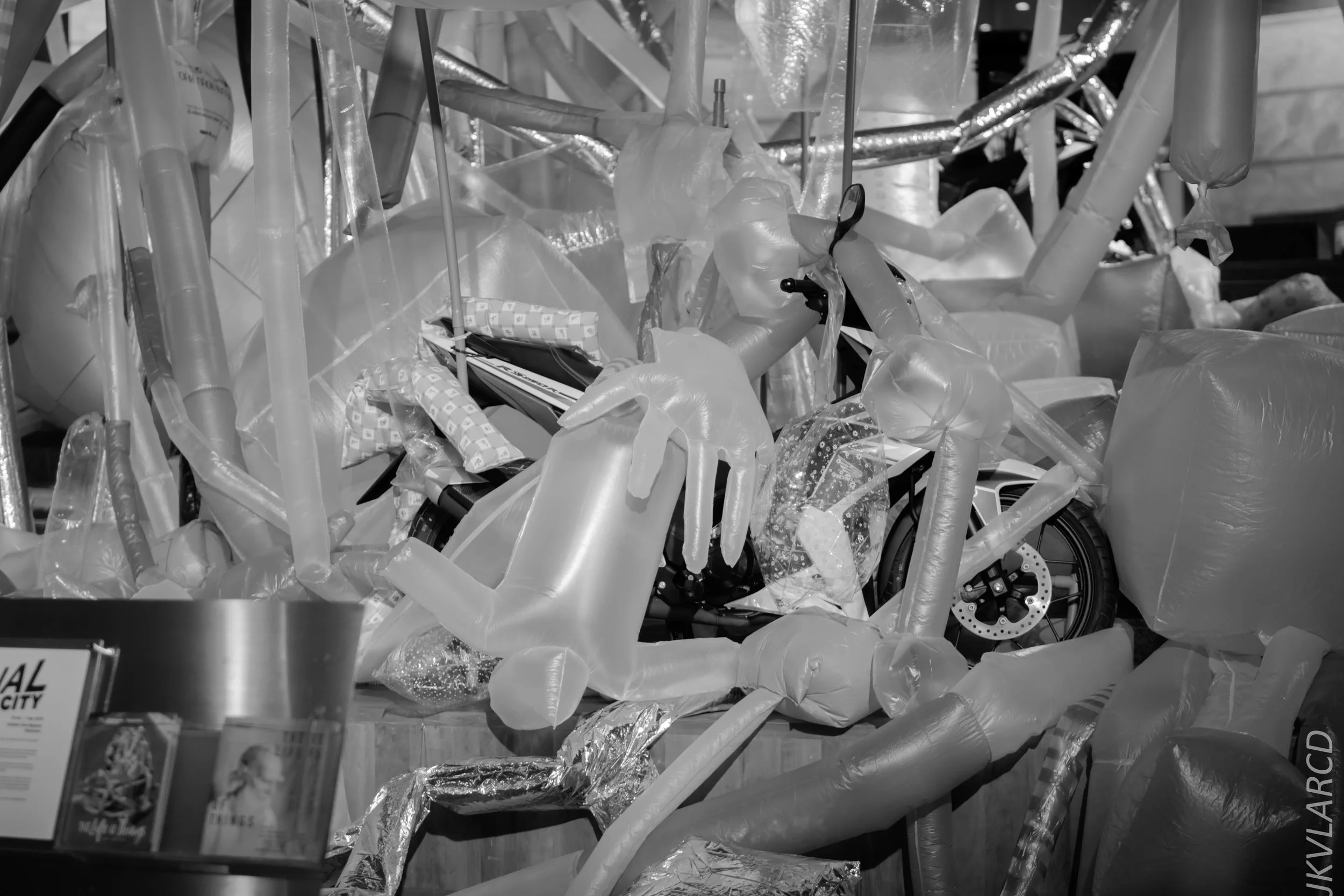 EOS 7D Mark II_2018_01_24_4430.jpg